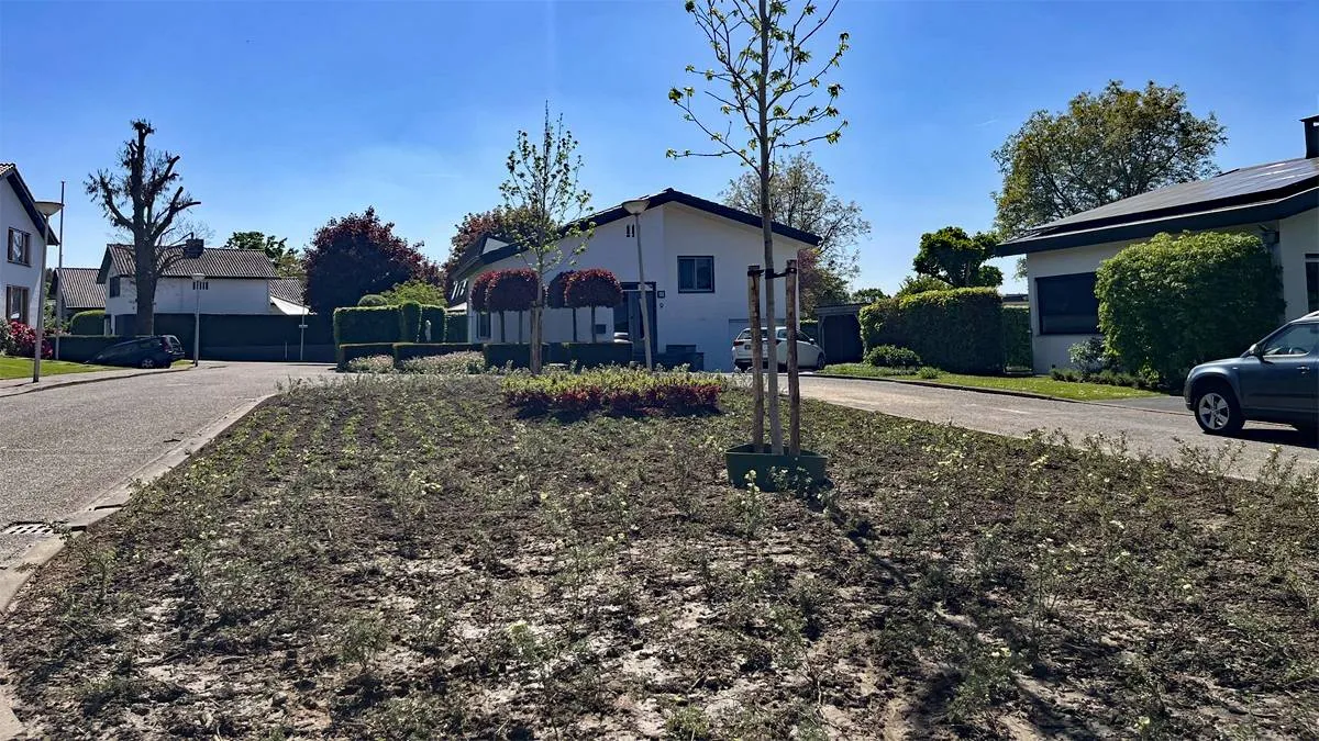 plantsoen kallenlaan