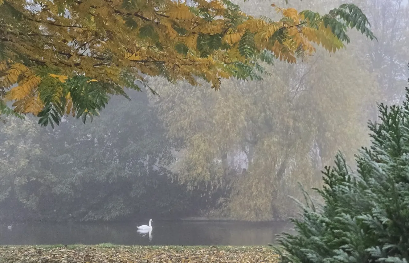 Schermafbeelding 2025-11-07 132150