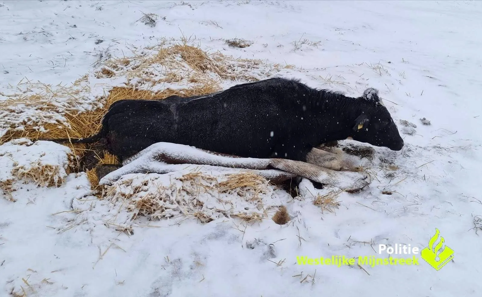 Politie Westelijke Mijnstreek 2