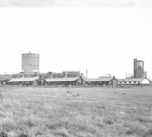 Een foto van het kamp op de Greatheide waar de Molukkers in 1951 werden gehuisvest