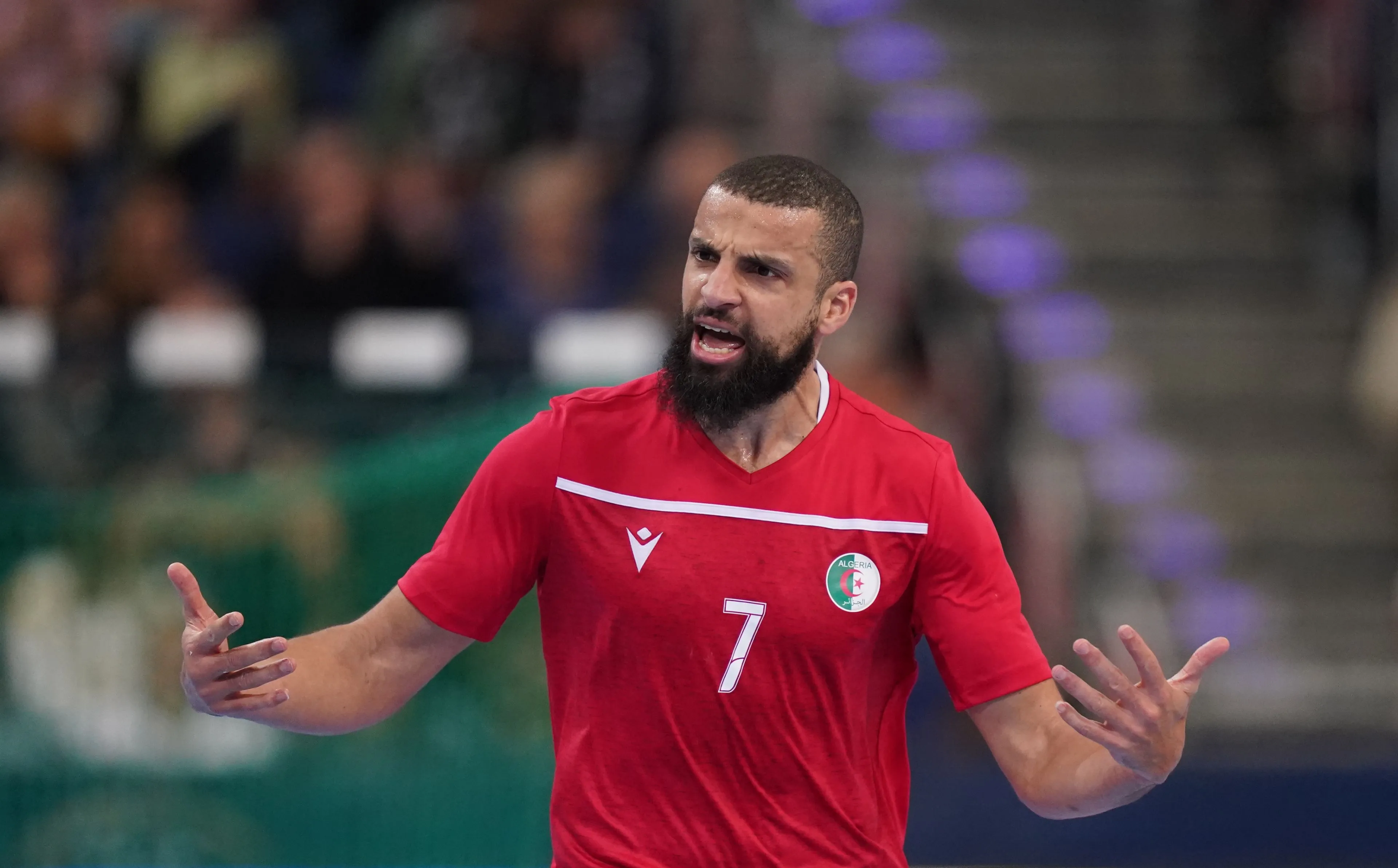 hichem daoud