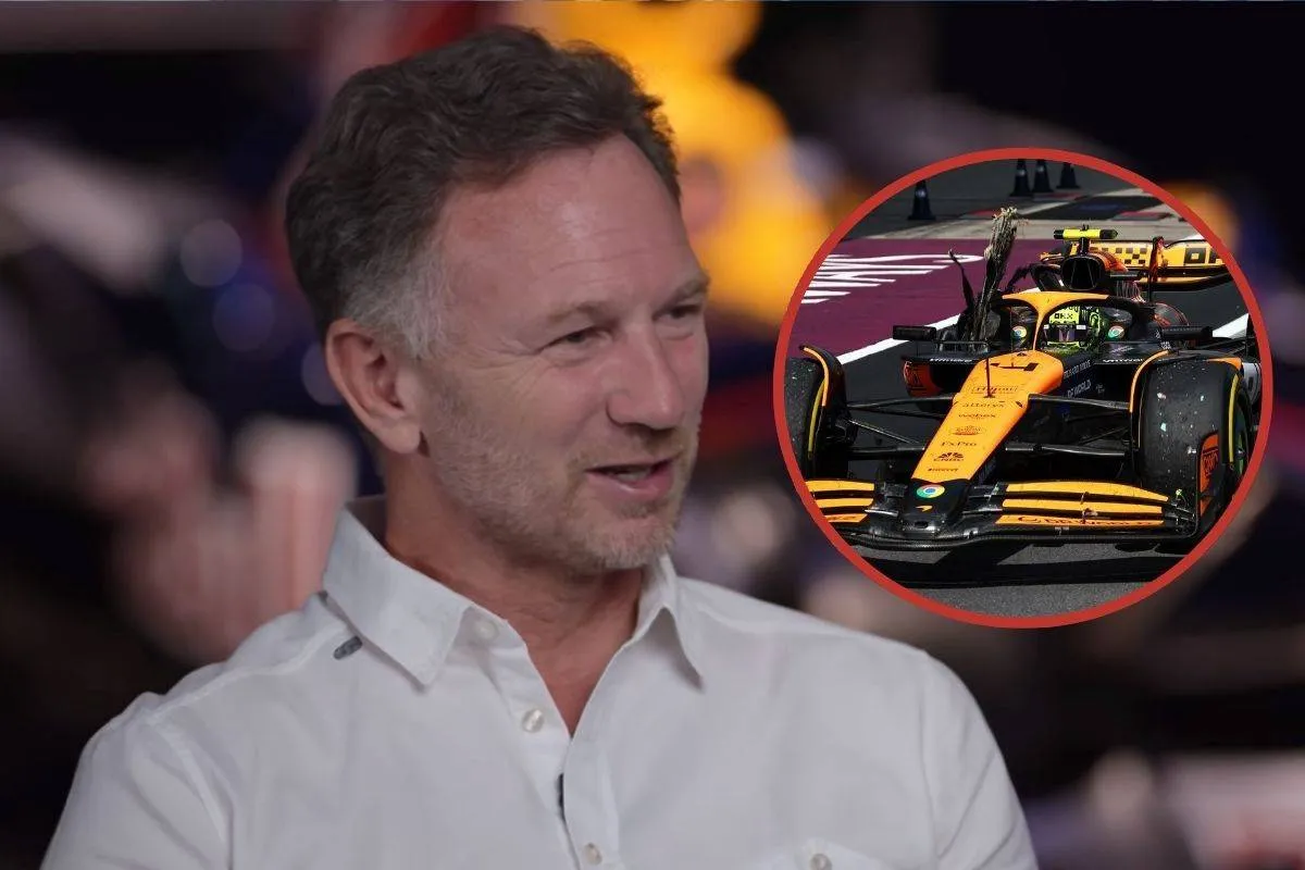 Christian Horner McLaren