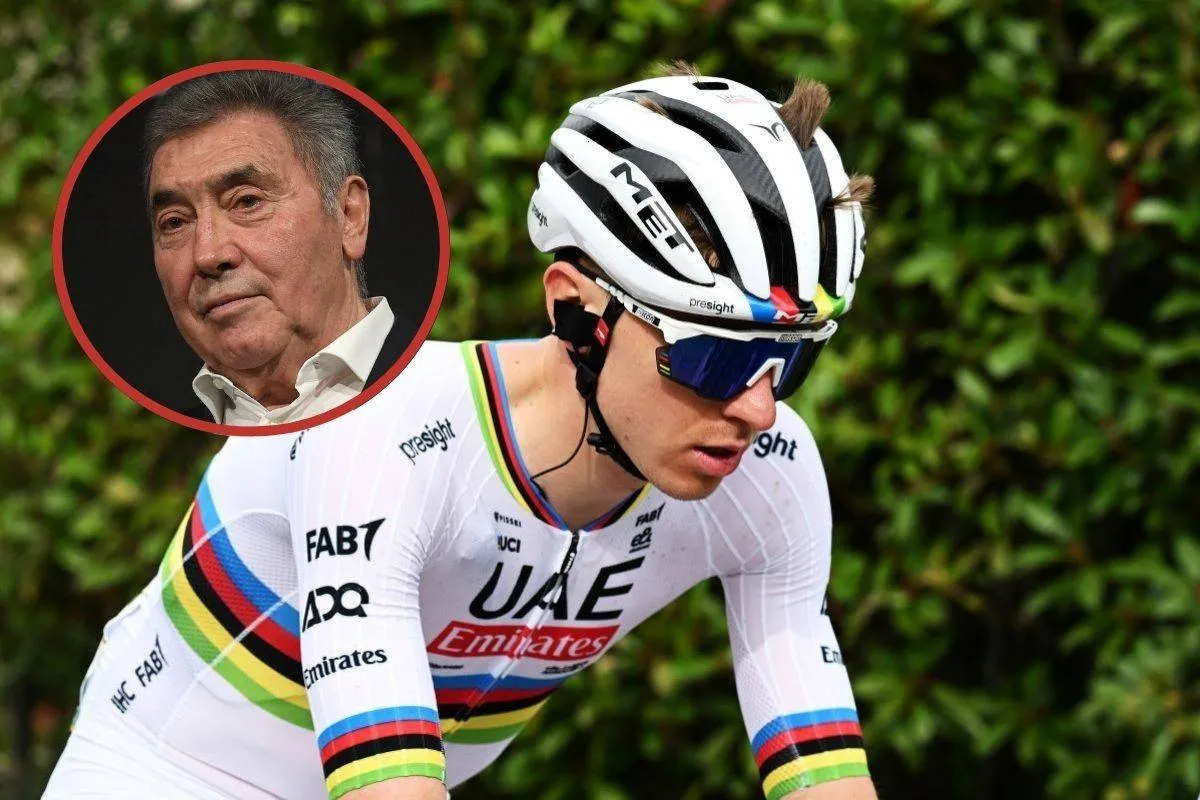 pogacar merckx