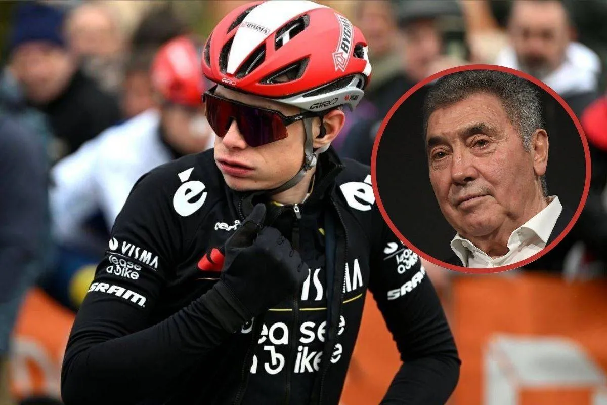 vingegaard merckx