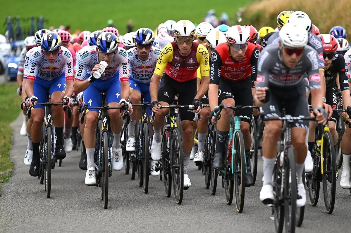 tour feltet roglic