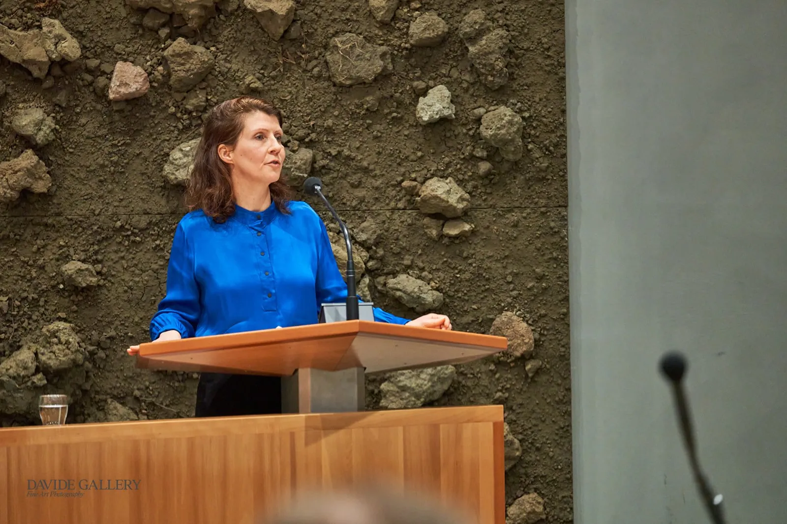 de dagelijkse standaard dh 01128