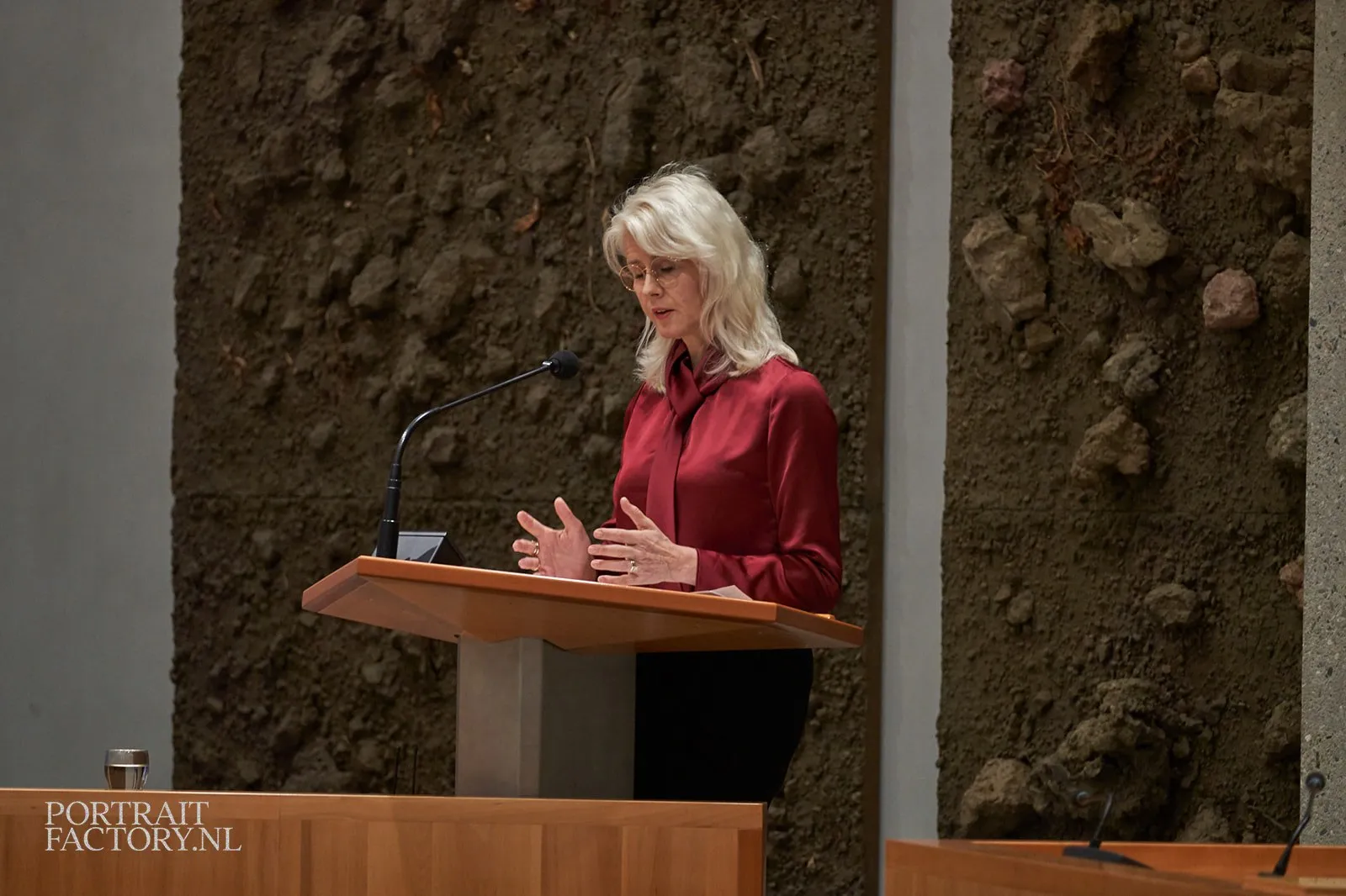 portraitfactorynl tweede kamer 66