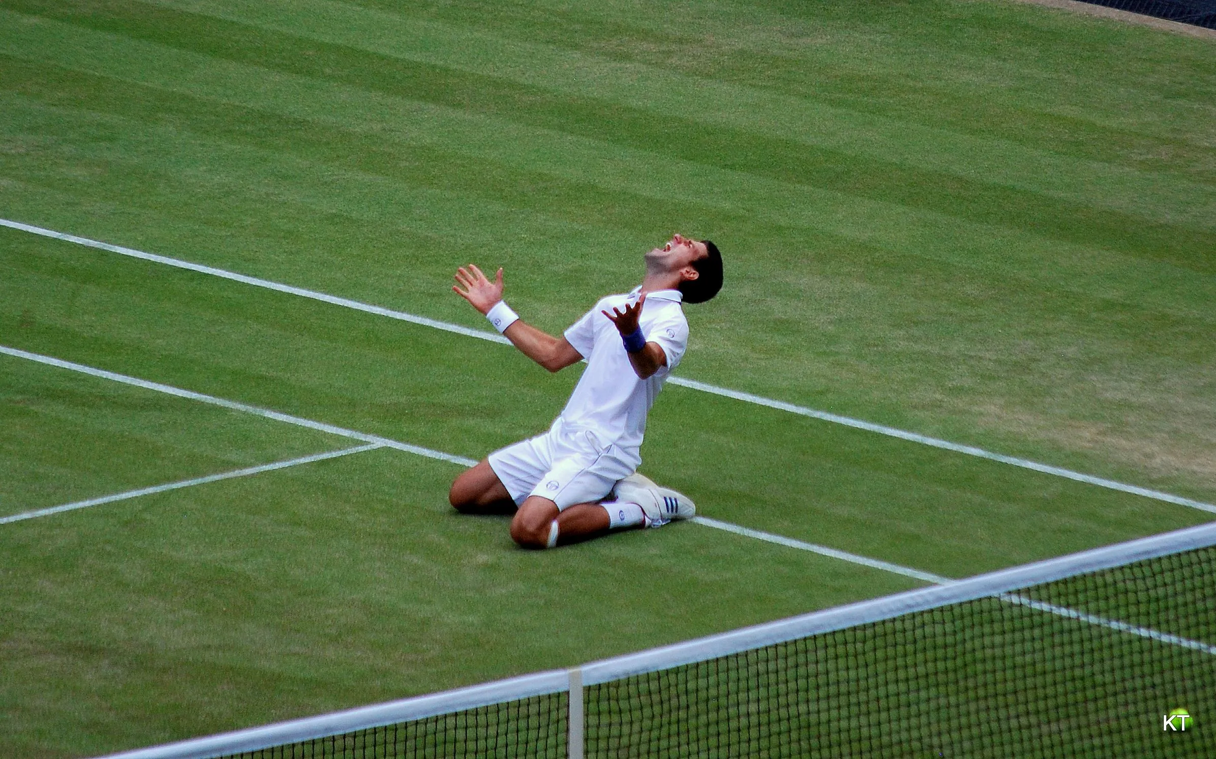novak djokovic wimbledon 2011 semifinal win celebration