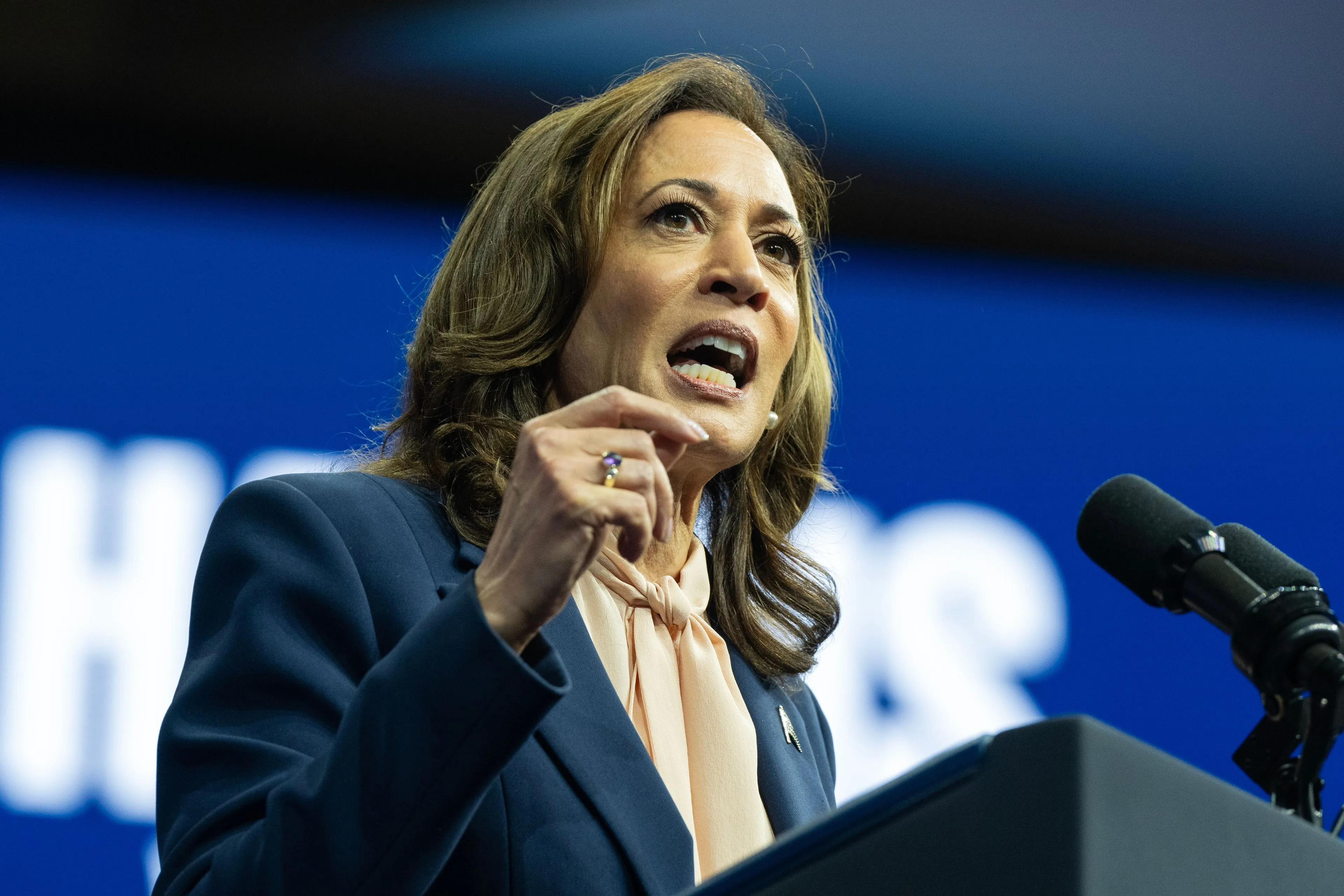 'Walgelijk! Een oproep hem te laten doden!' - Iedereen WOEST nadat Kamala Harris Donald Trump een nieuwe Hitler noemt