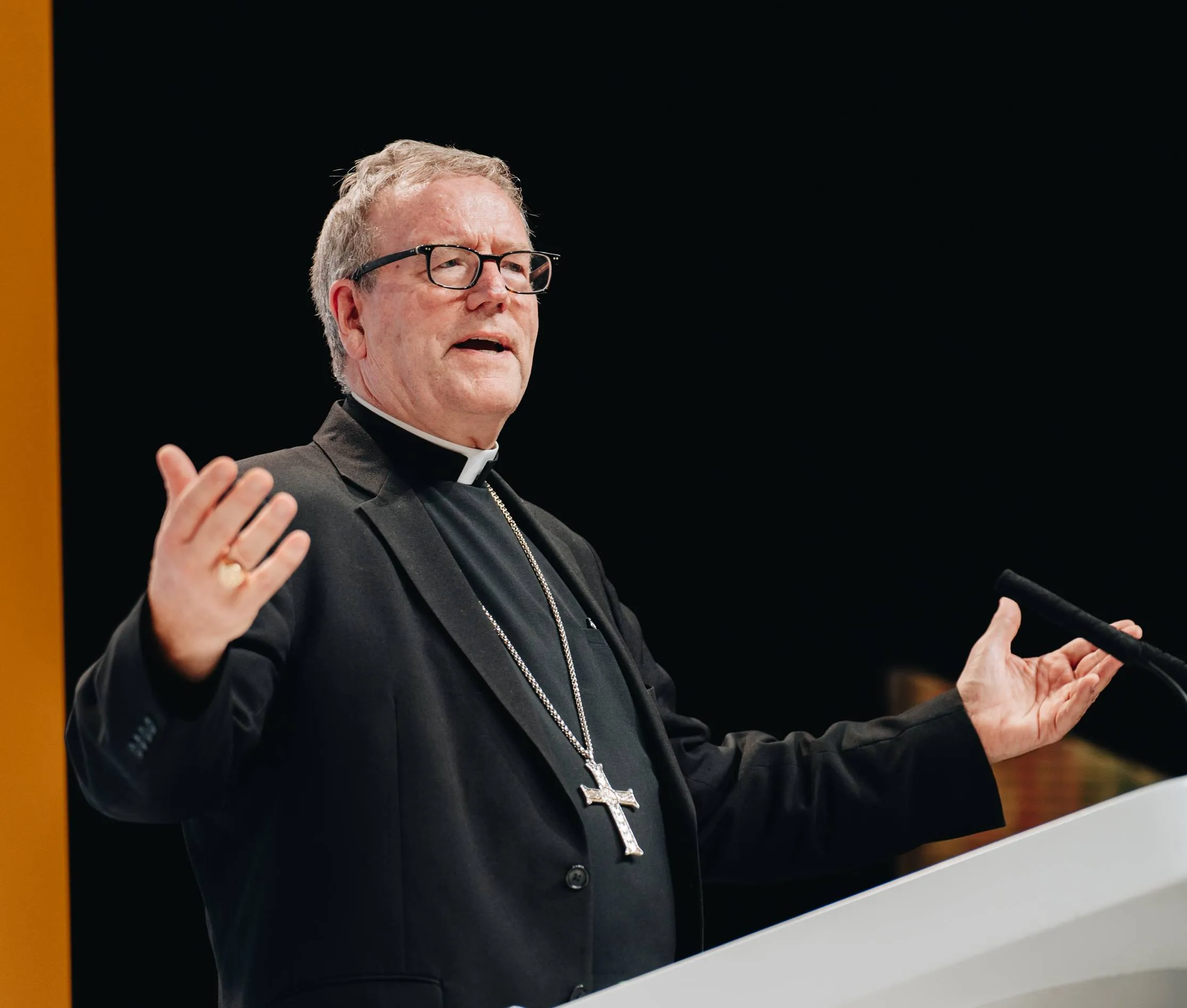 bishop robert barron