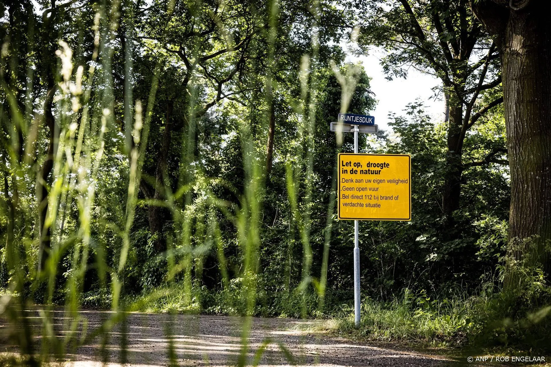 anp220525099 1