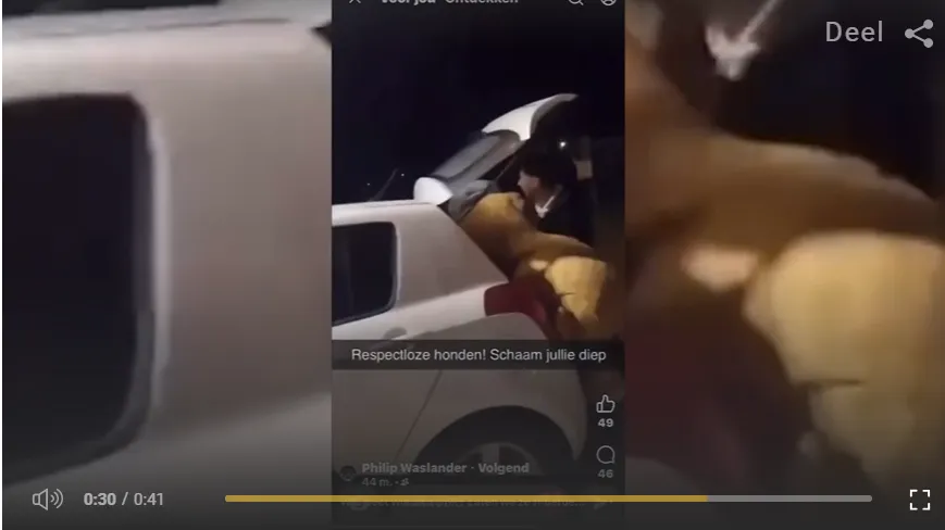Schande in Winschoten: Nieuwe Nederlanders stelen knuffels van herdenkingsplek Jeffrey en Emma