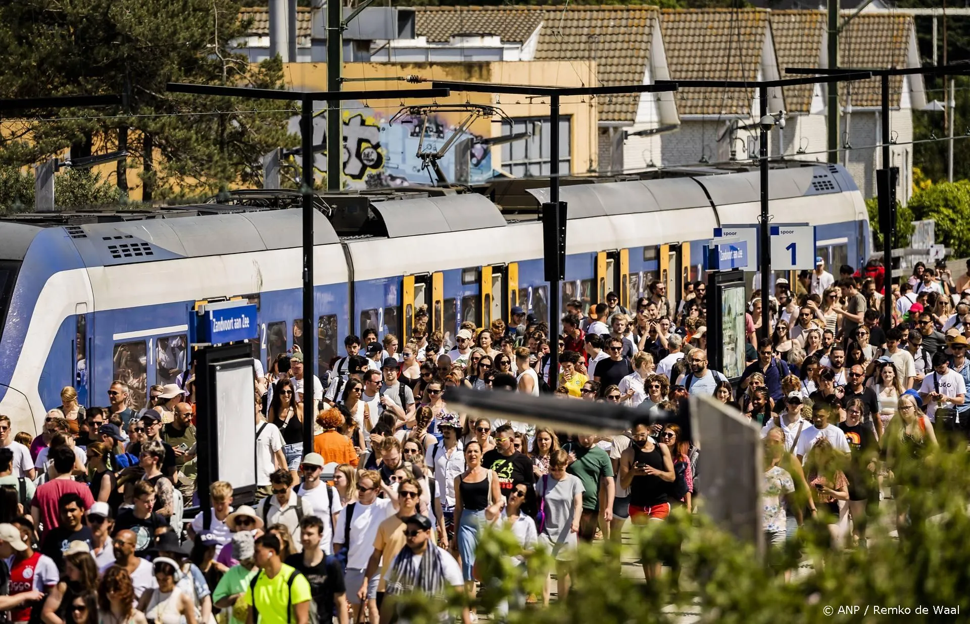 anp300625123 1