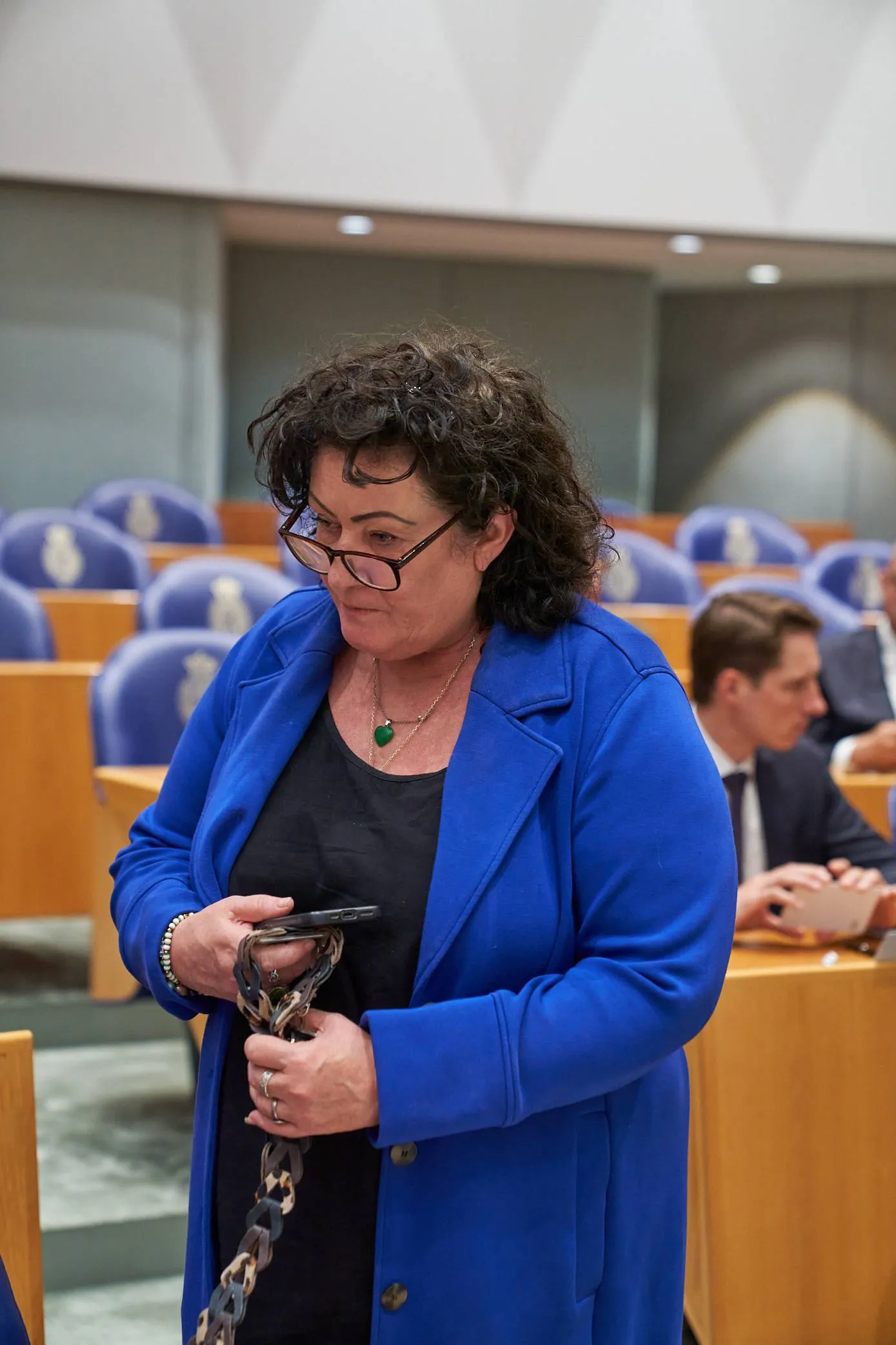 dds tweede kamer gevallen kabinet123