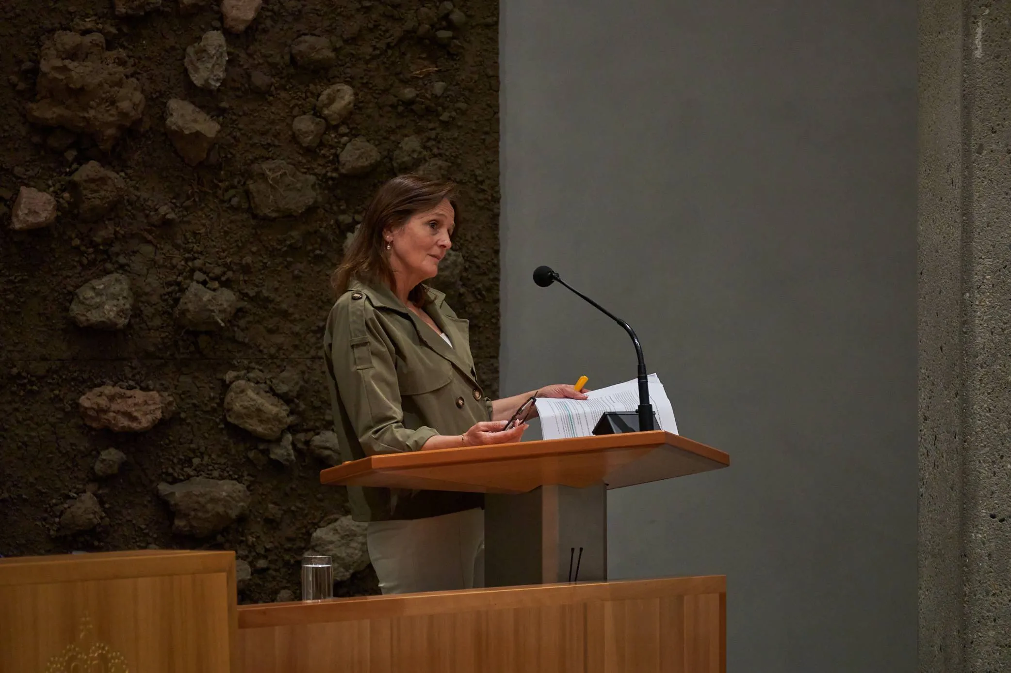 dds tweede kamer gevallen kabinet18
