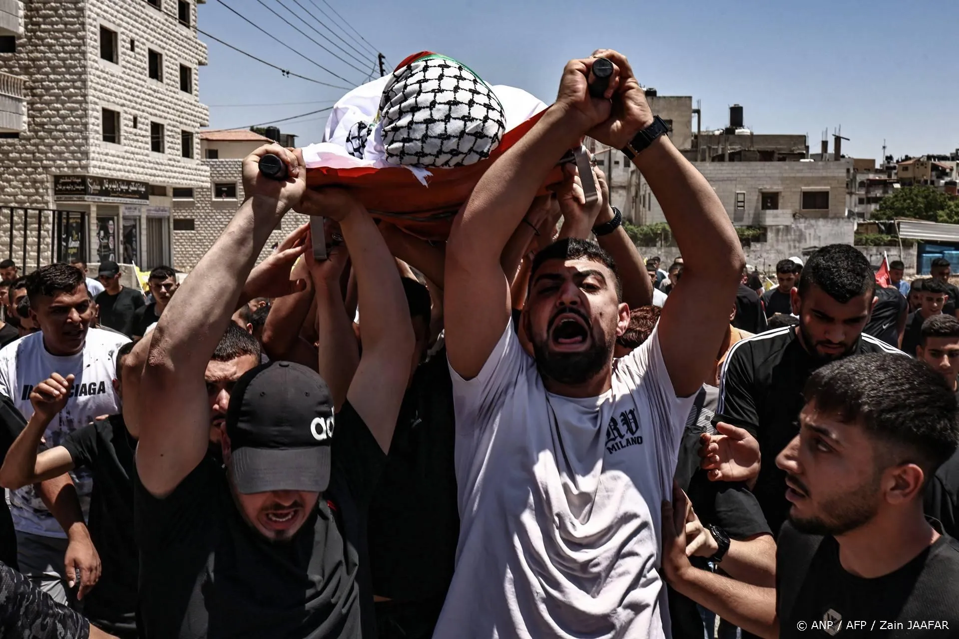 anp150725119 1