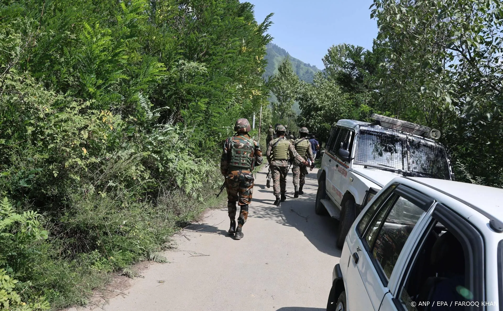 anp290725089 1