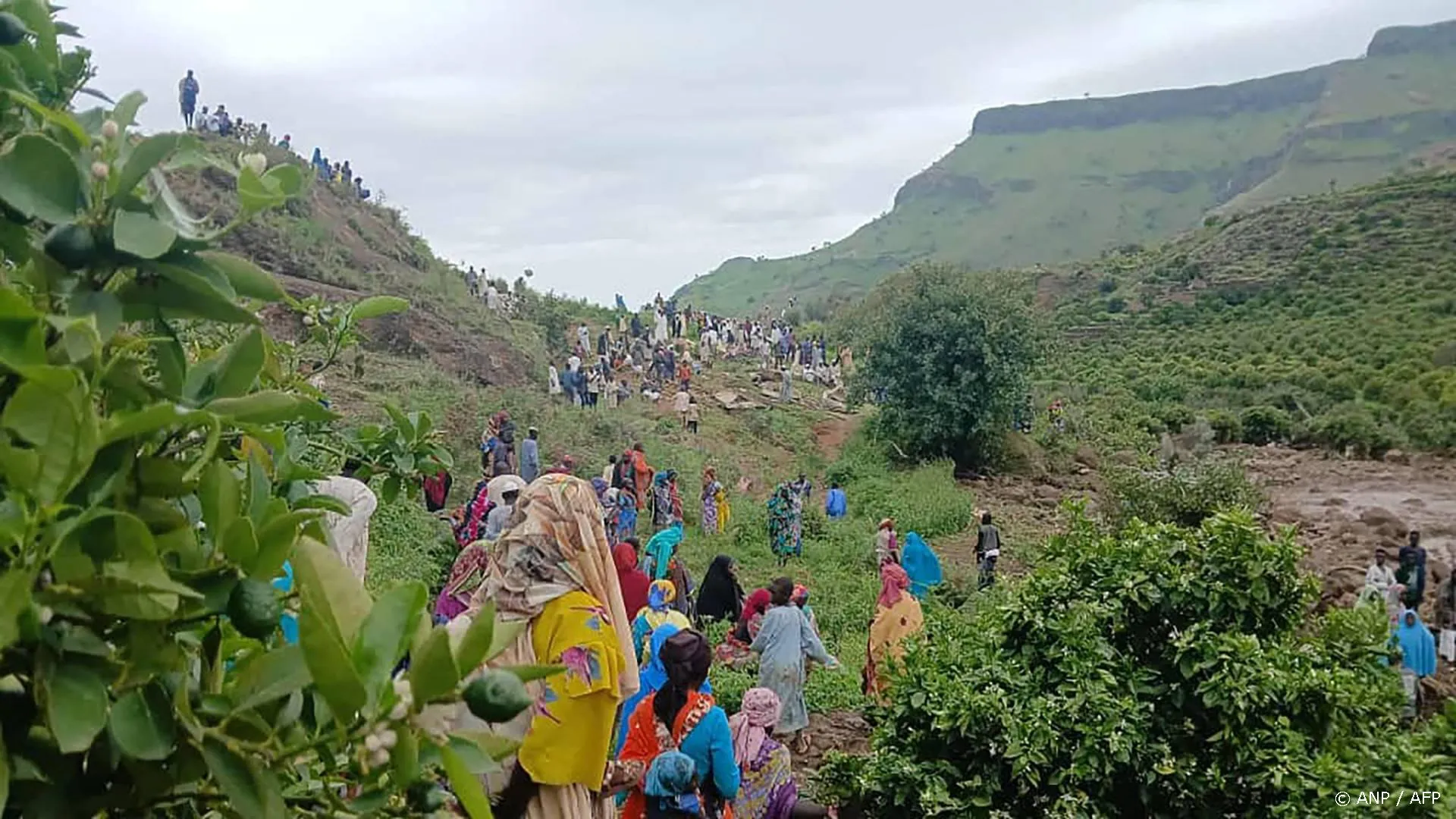 anp020925149 1