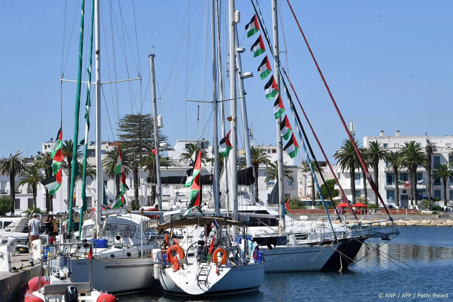 anp170925172 1