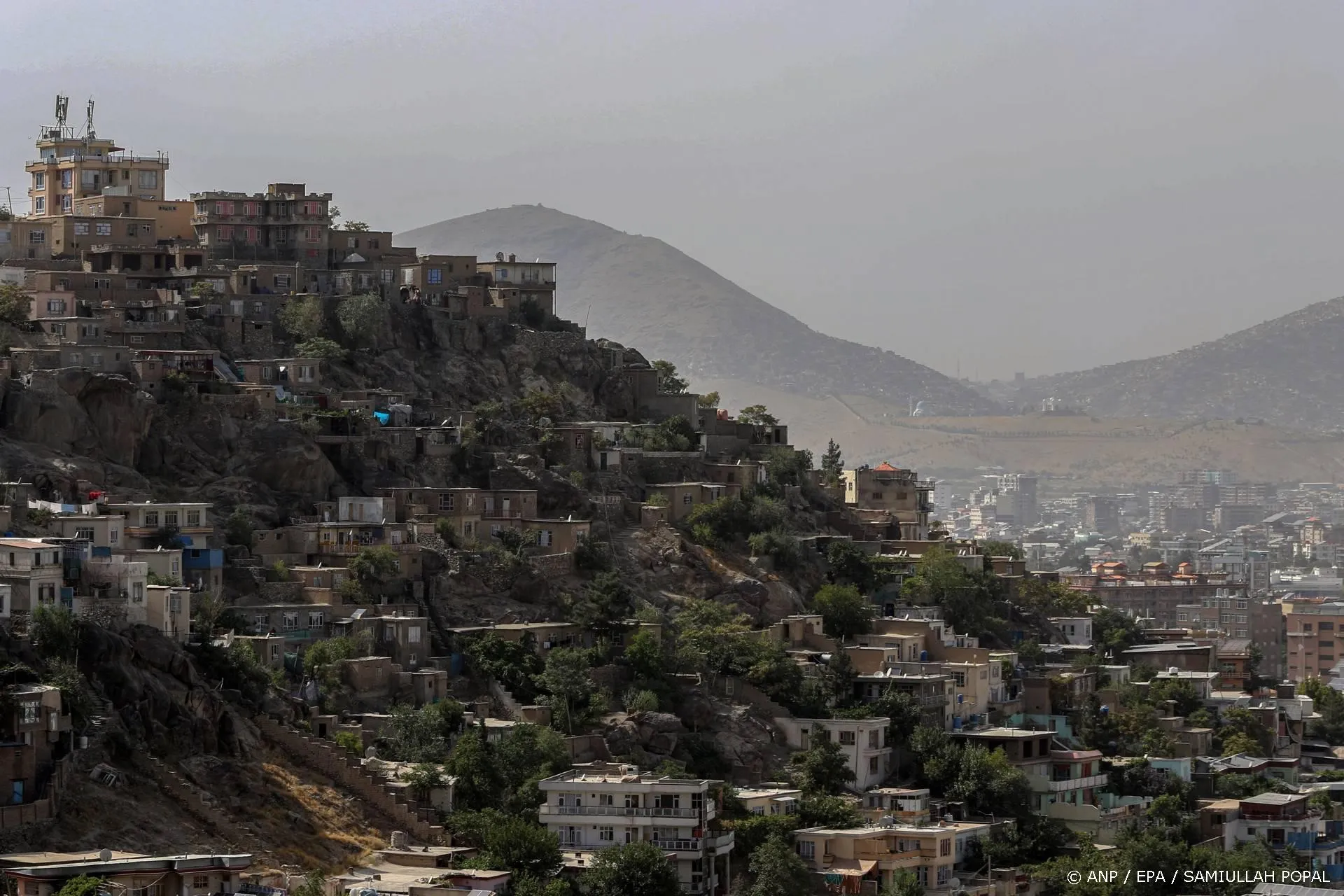 anp290925138 1