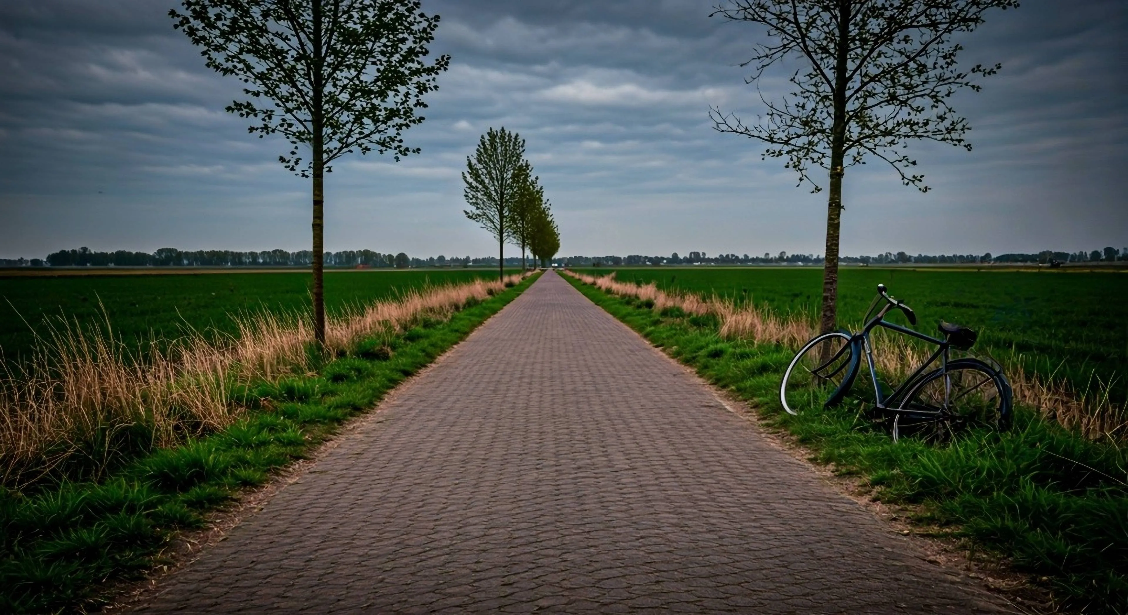 shutterstock_2674723255 (1)