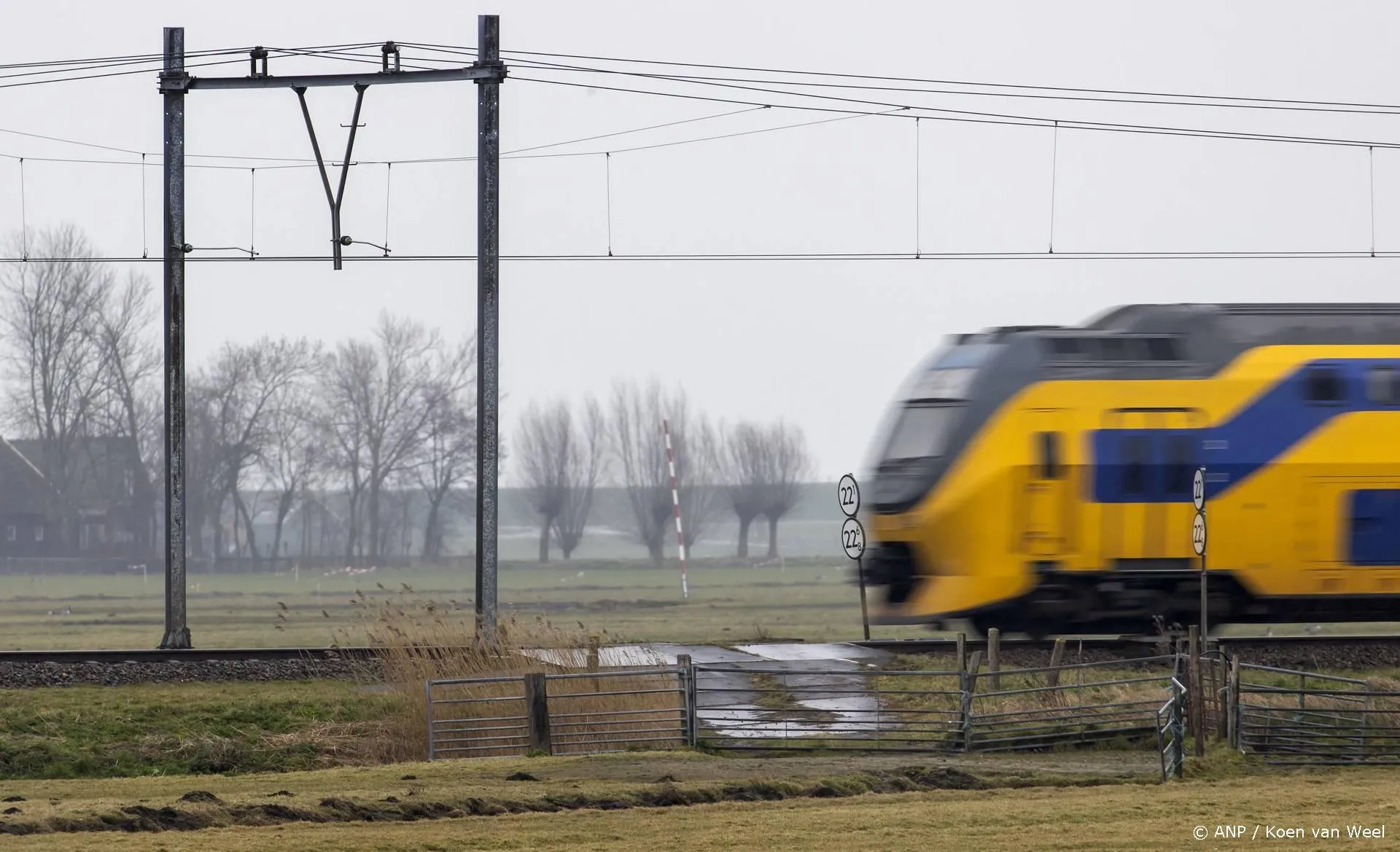 anp021025073 1