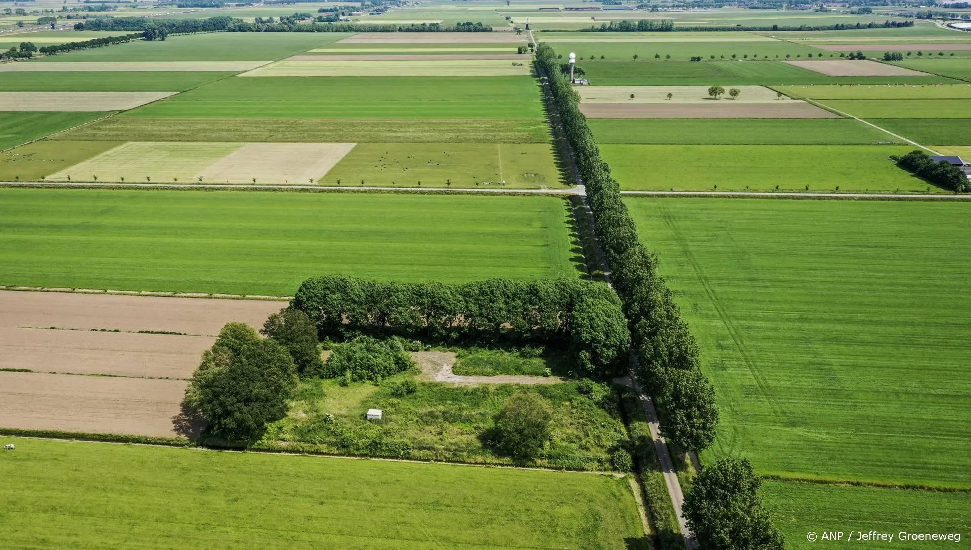 anp091025169 1