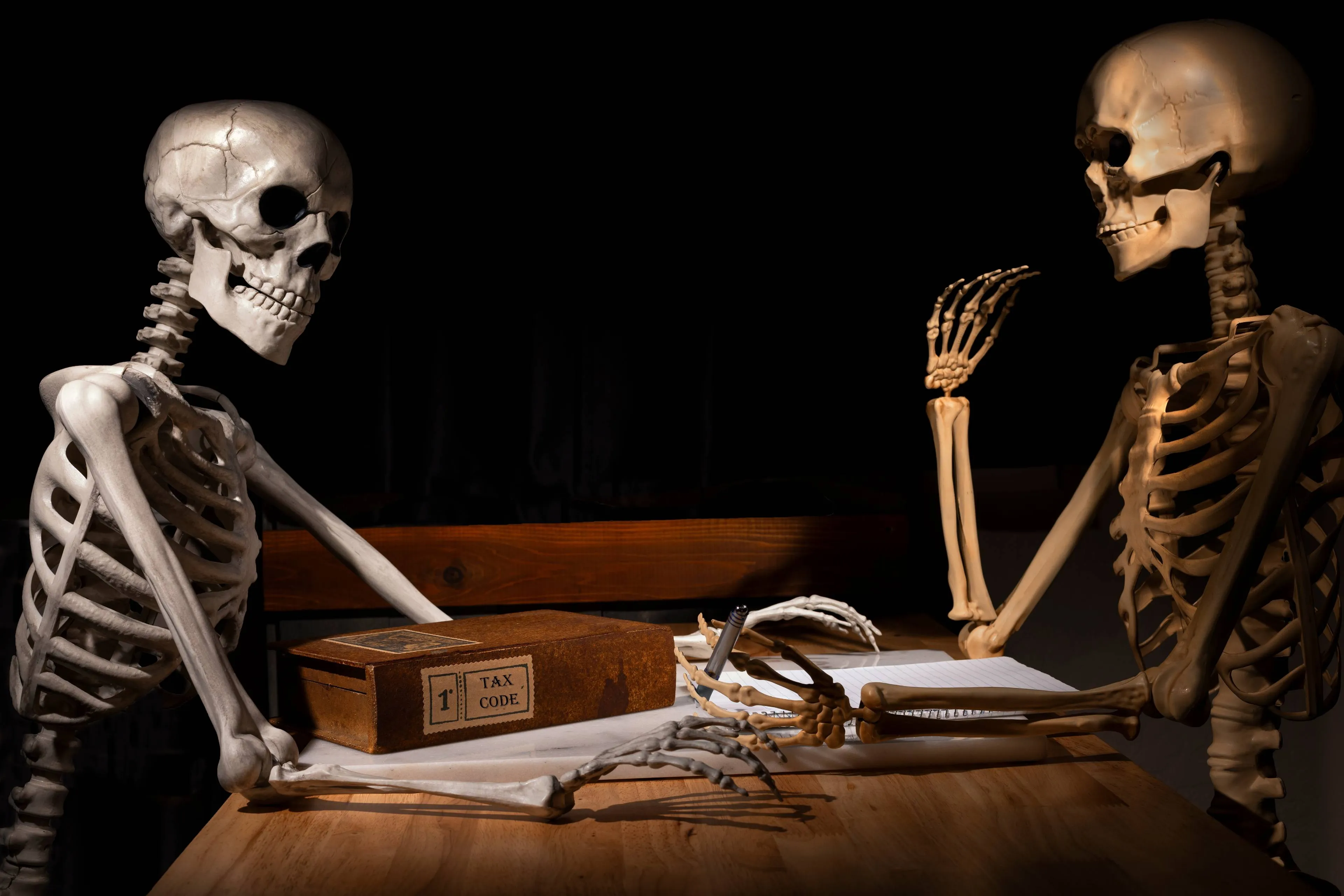 shutterstock_2353421827