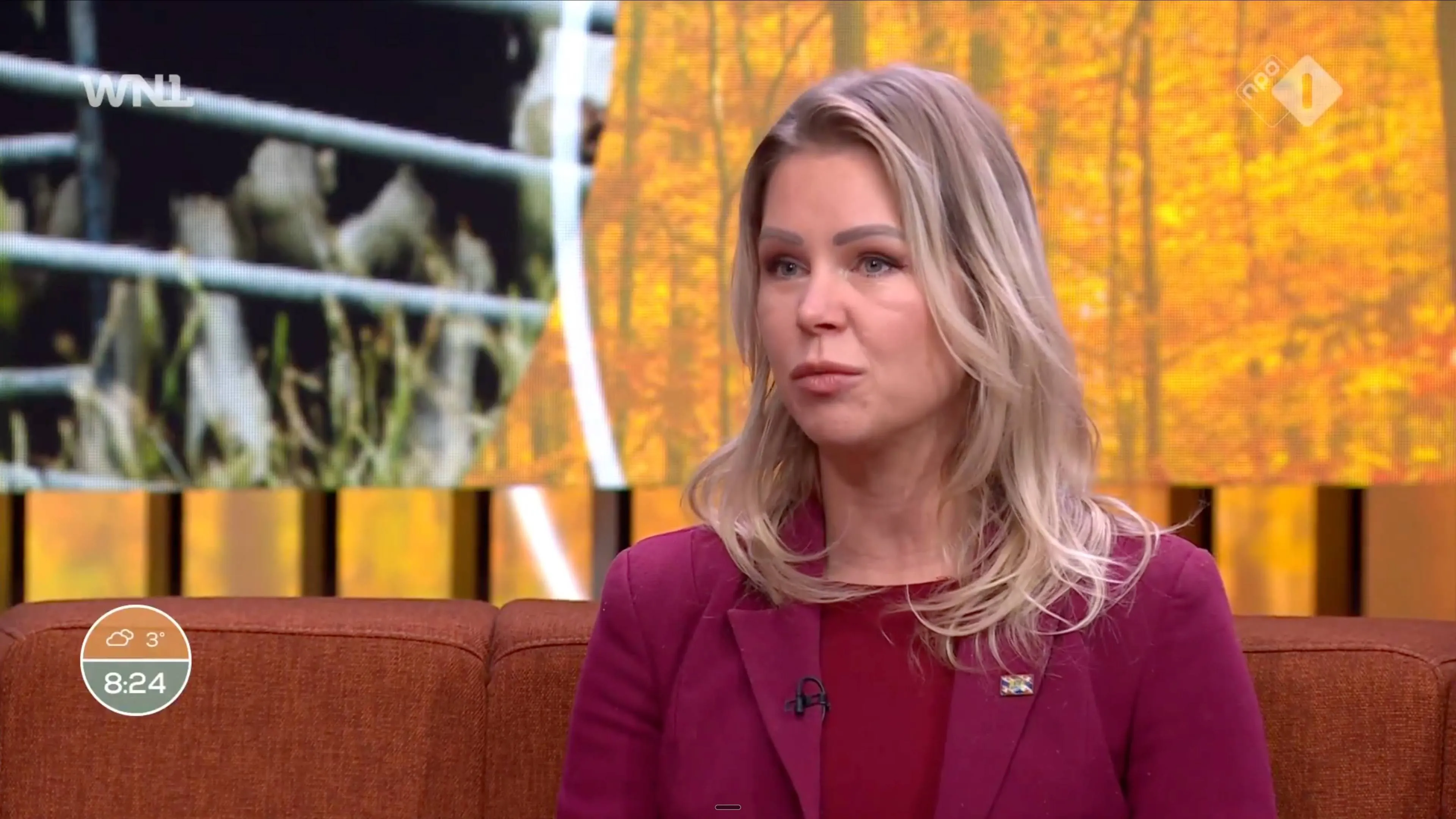 Screenshot 2025-11-26 at 11.16.59