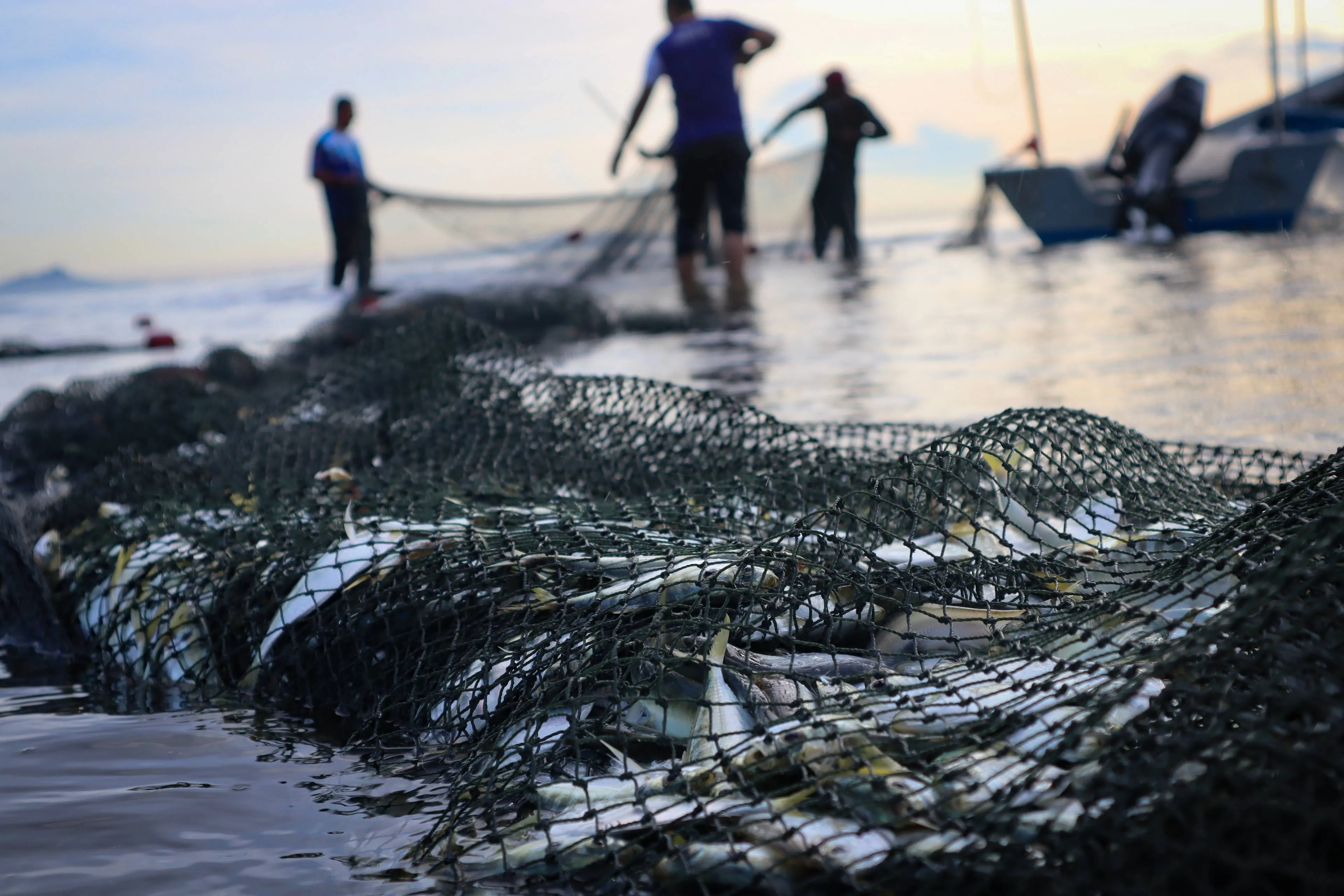 shutterstock_2472170993