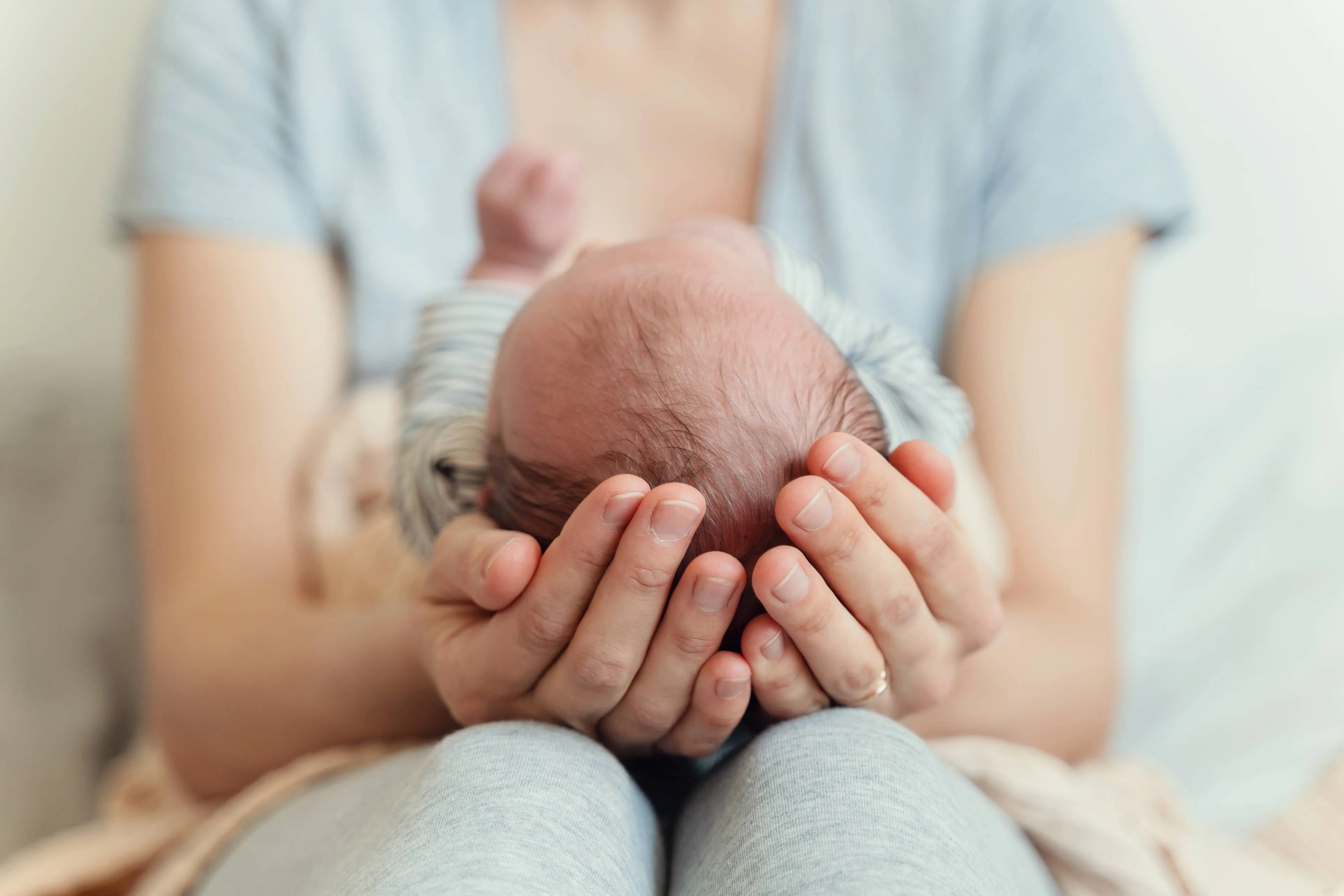 shutterstock_2555129493