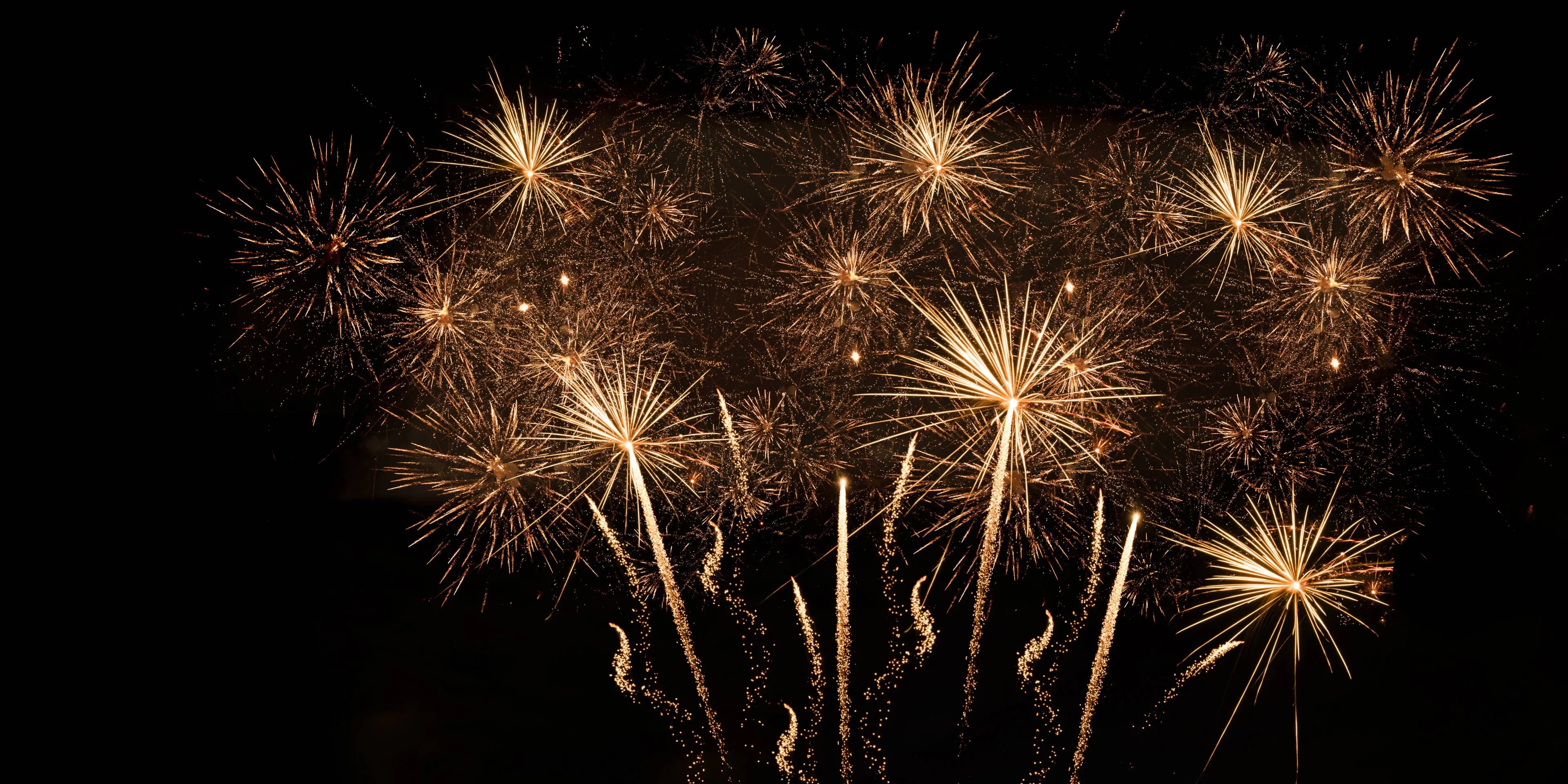 shutterstock_2558056469