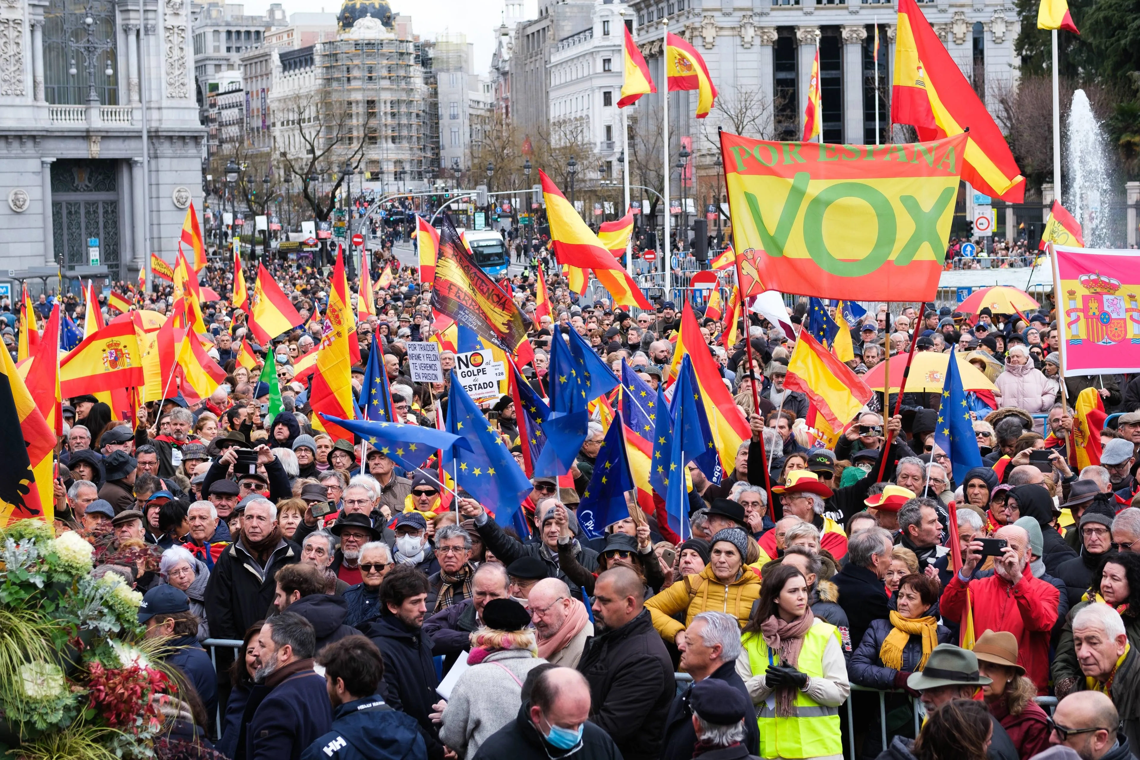 shutterstock_2435490853