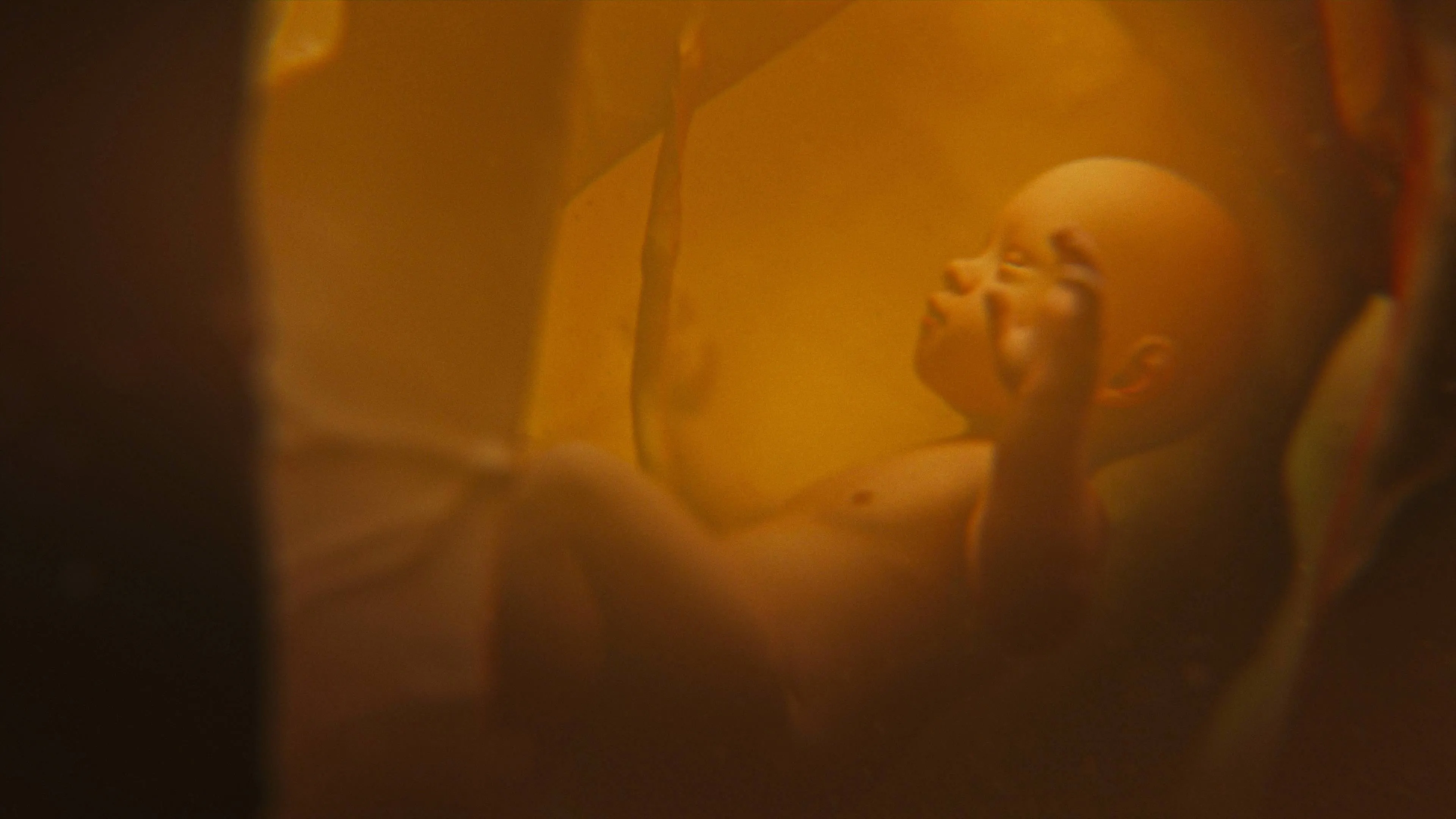 shutterstock_2506339095