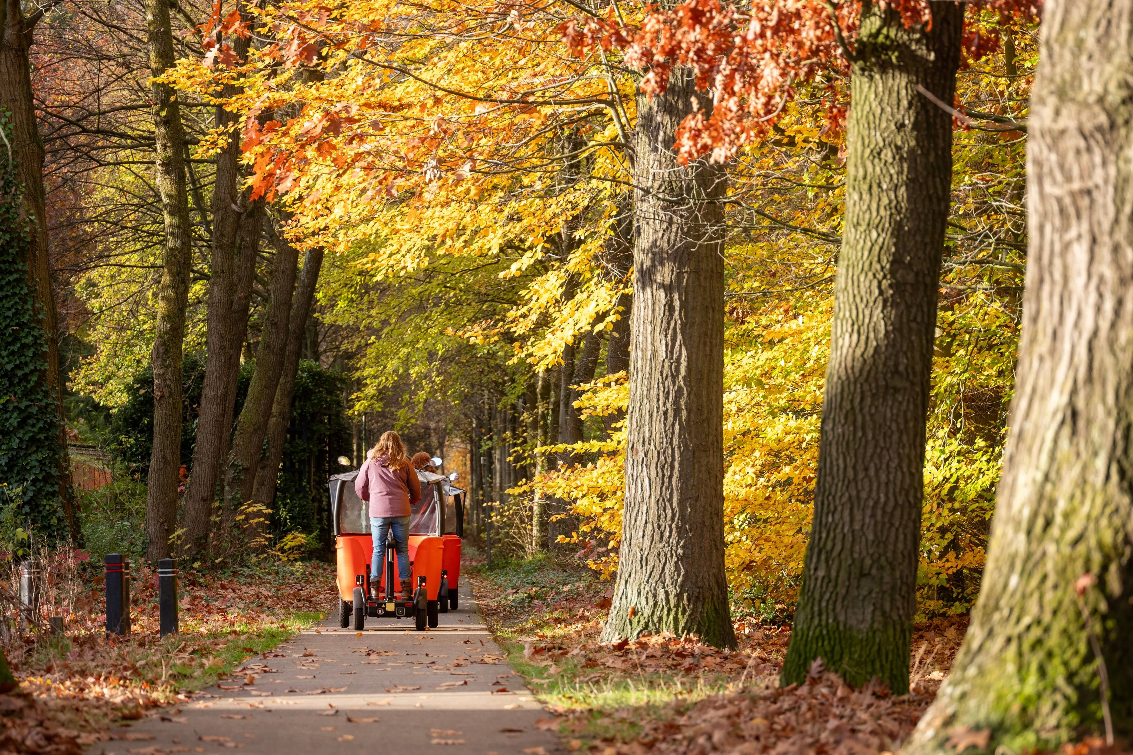 shutterstock_2545779779