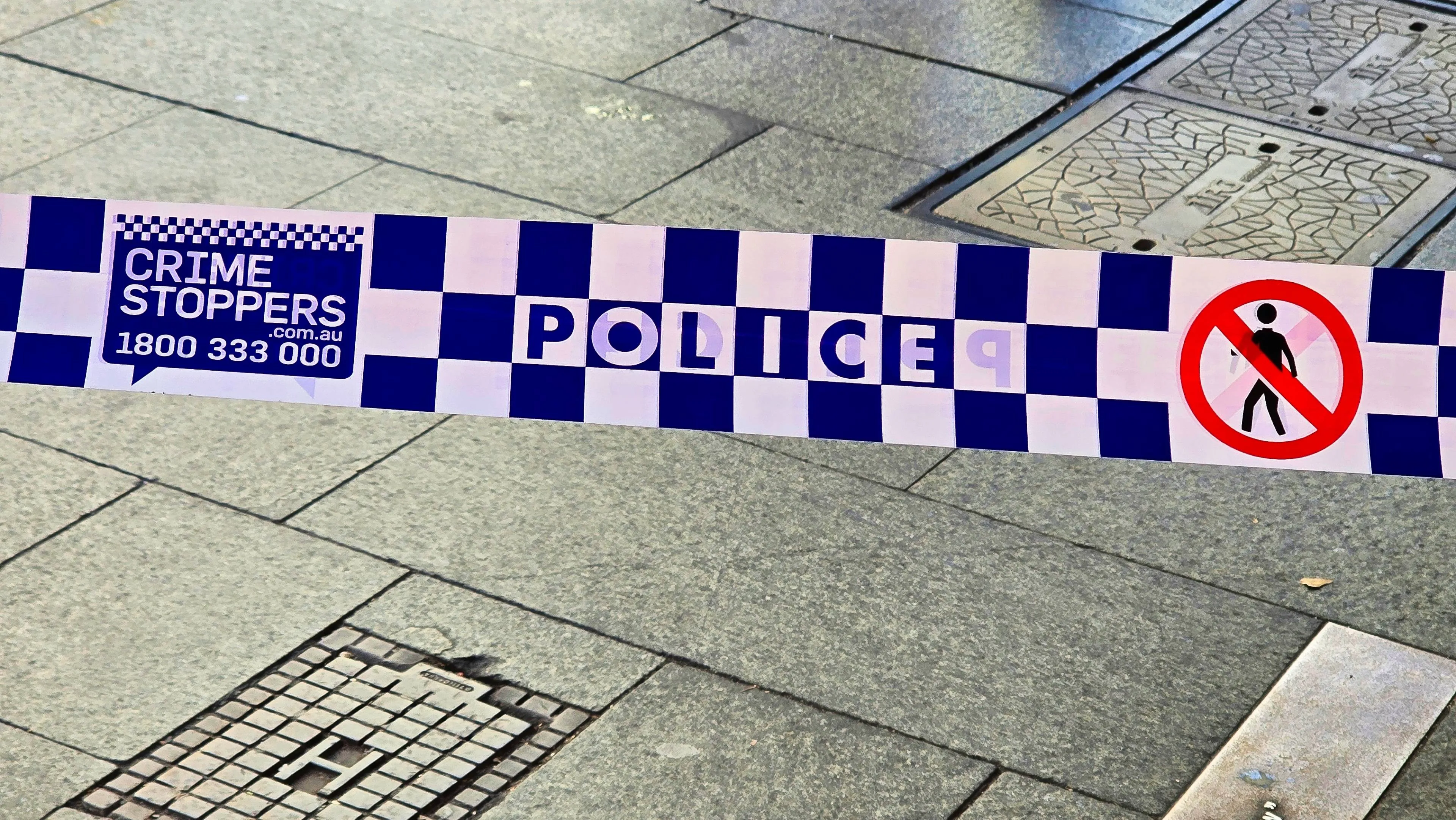 shutterstock_2635317109