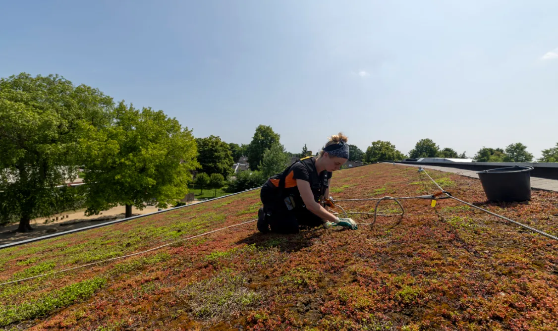 artikel_6352_afbeelding