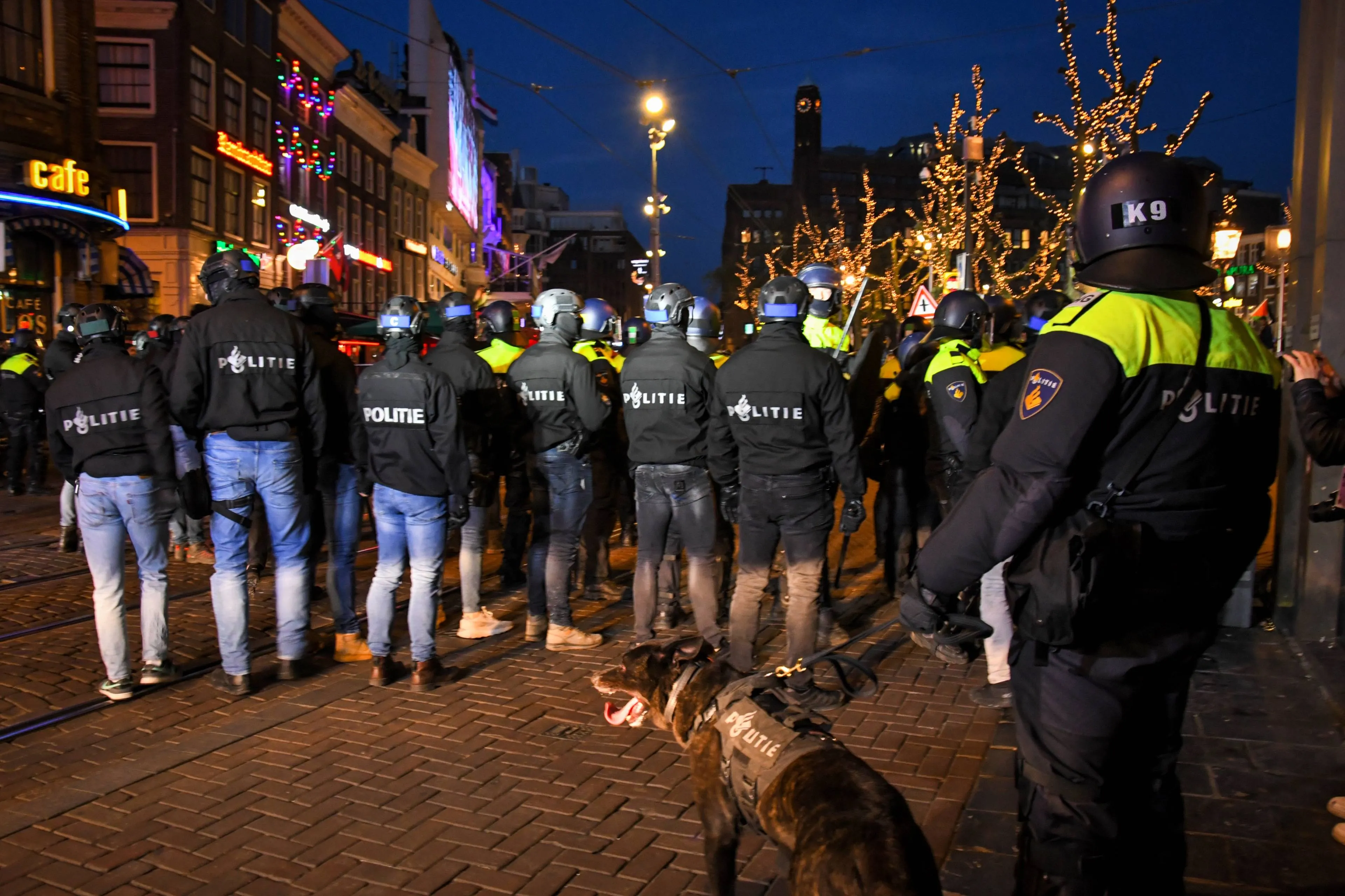 shutterstock_2459687757