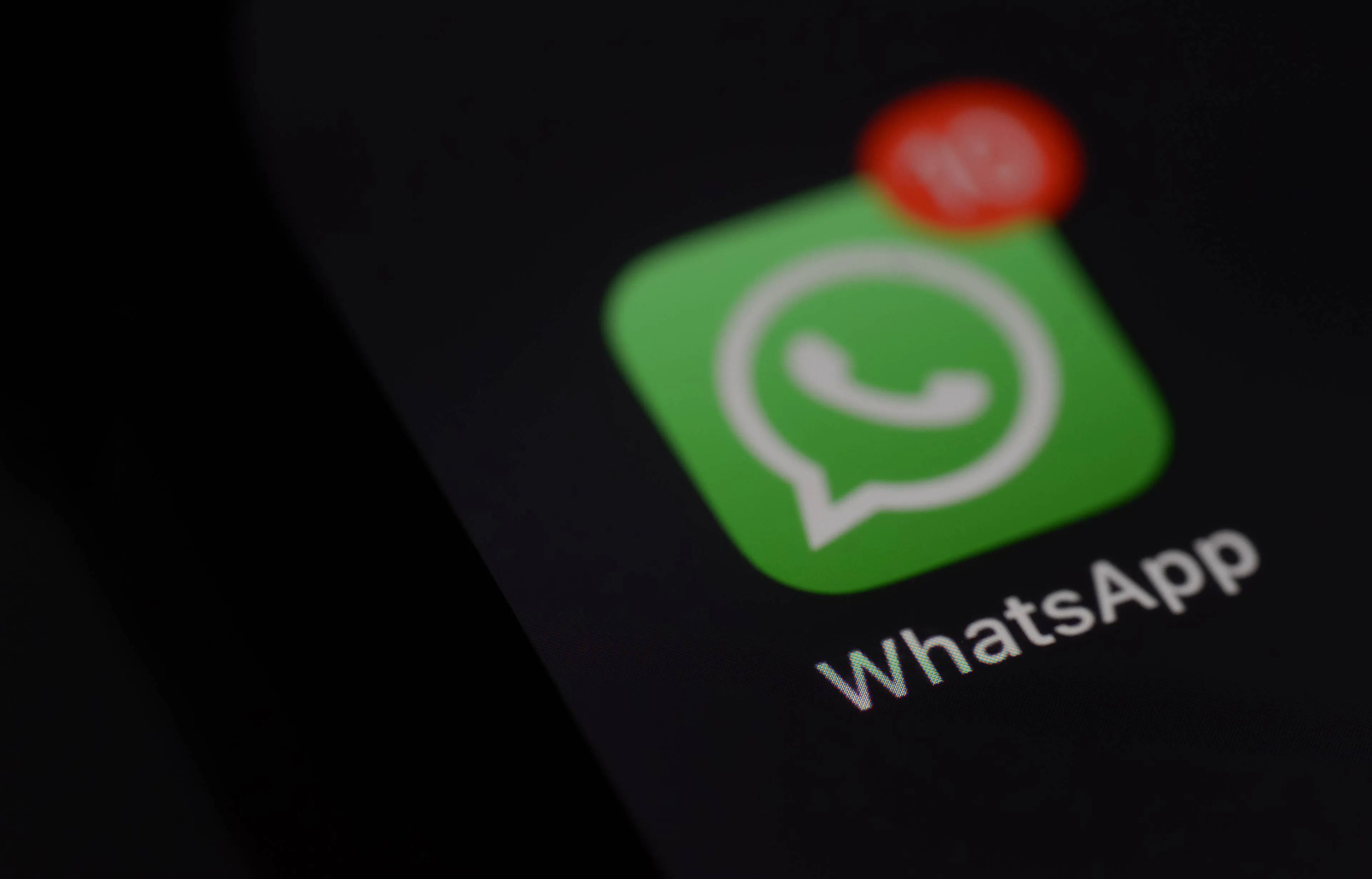 shutterstock_2658038967