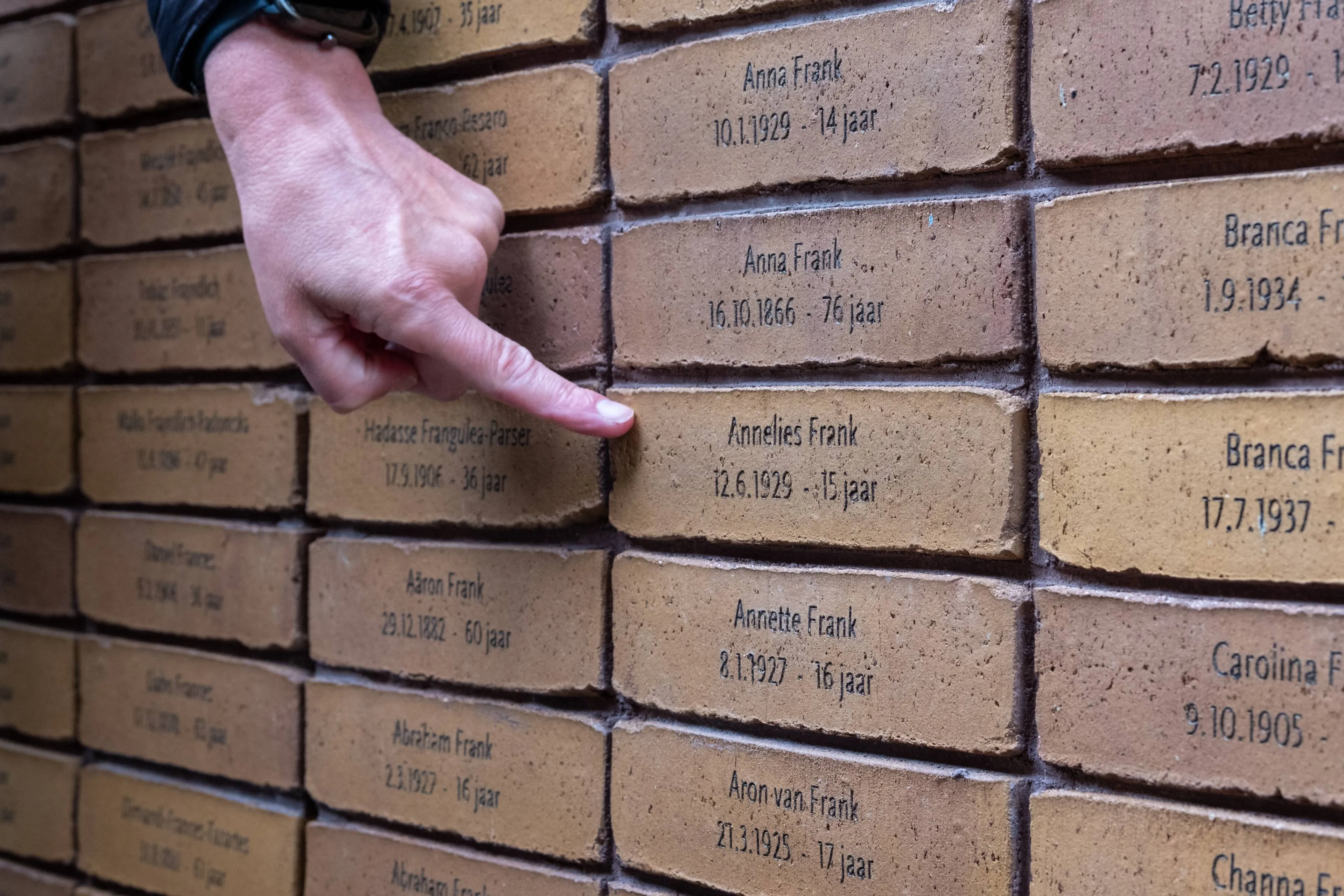 shutterstock_2682631227