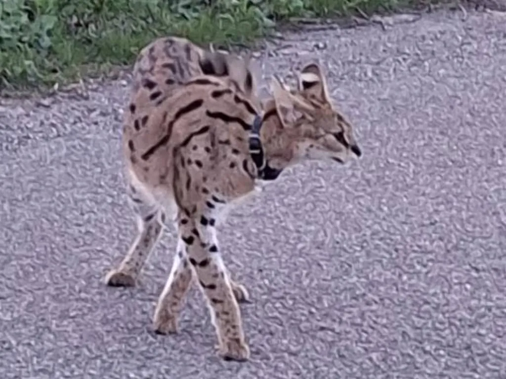 Scherm_afbeelding 2026-03-22 om 21.35.29