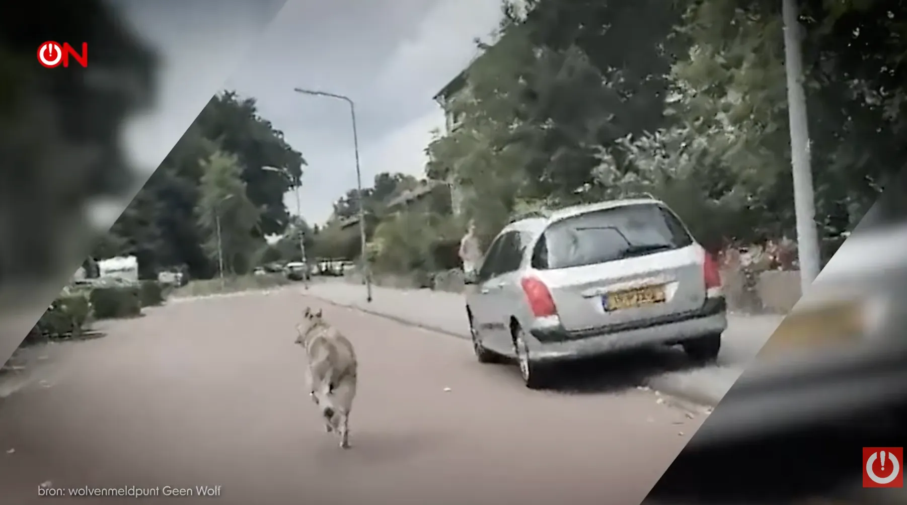 Screenshot 2026-03-13 at 11.11.21