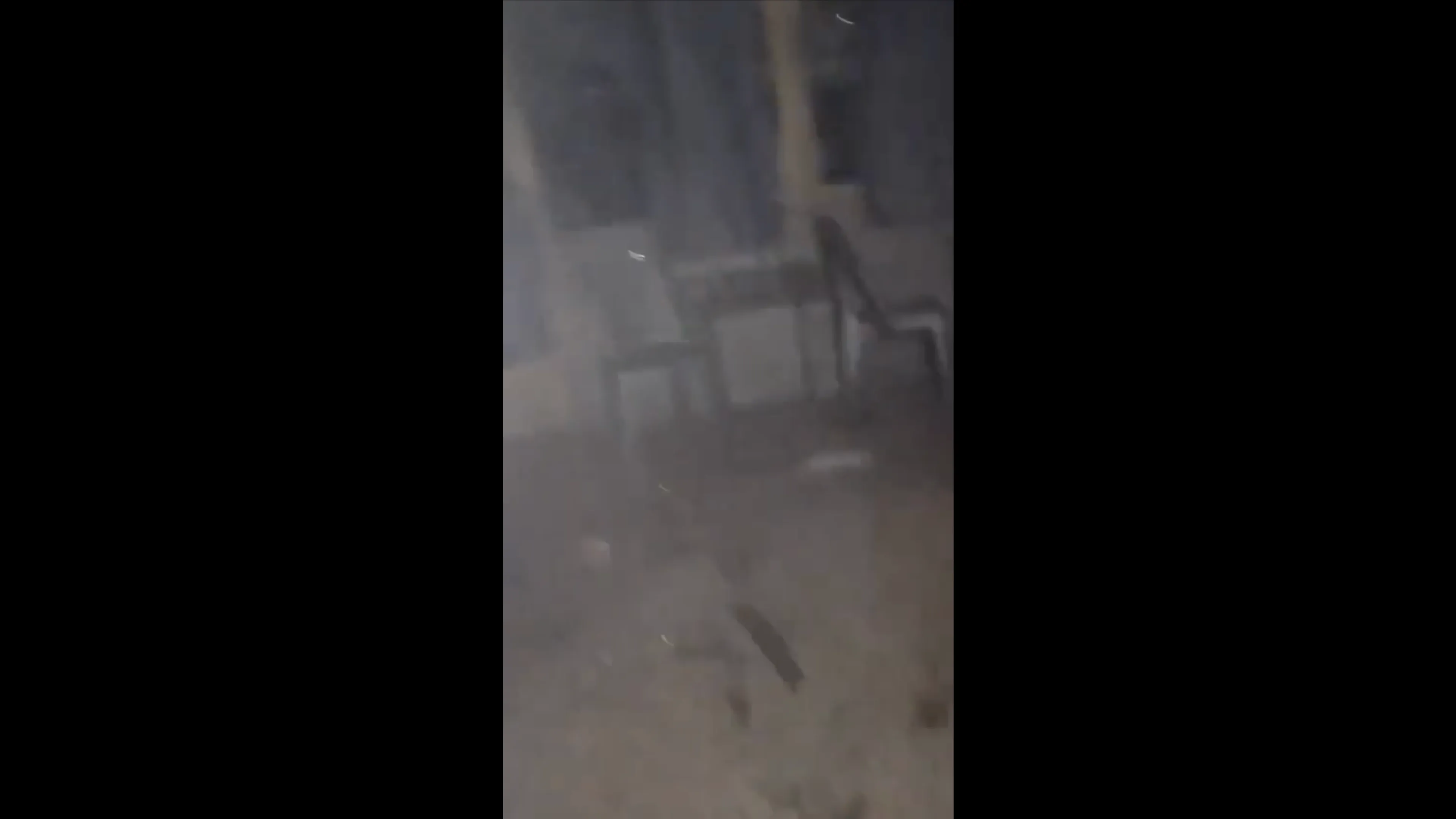 Screenshot 2026-03-29 at 12.21.37