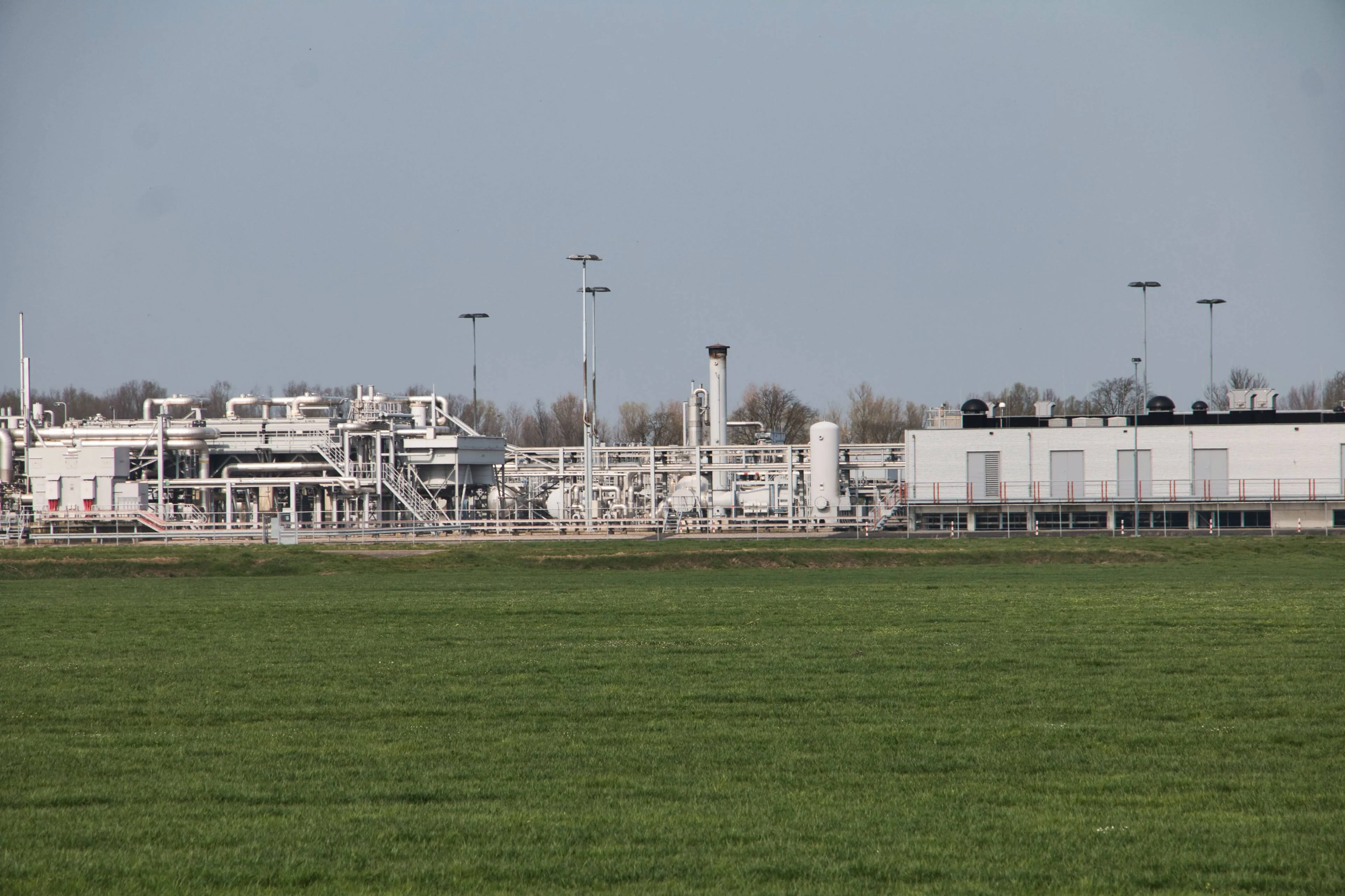 shutterstock_1354296611