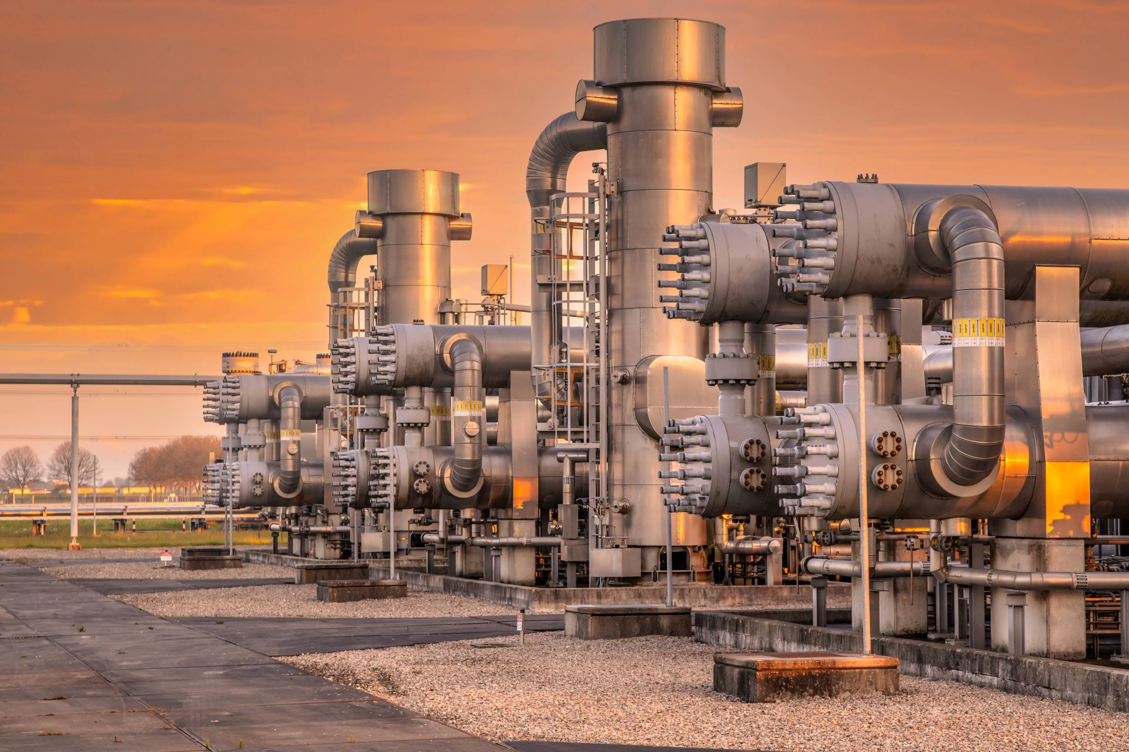 shutterstock_2135856177