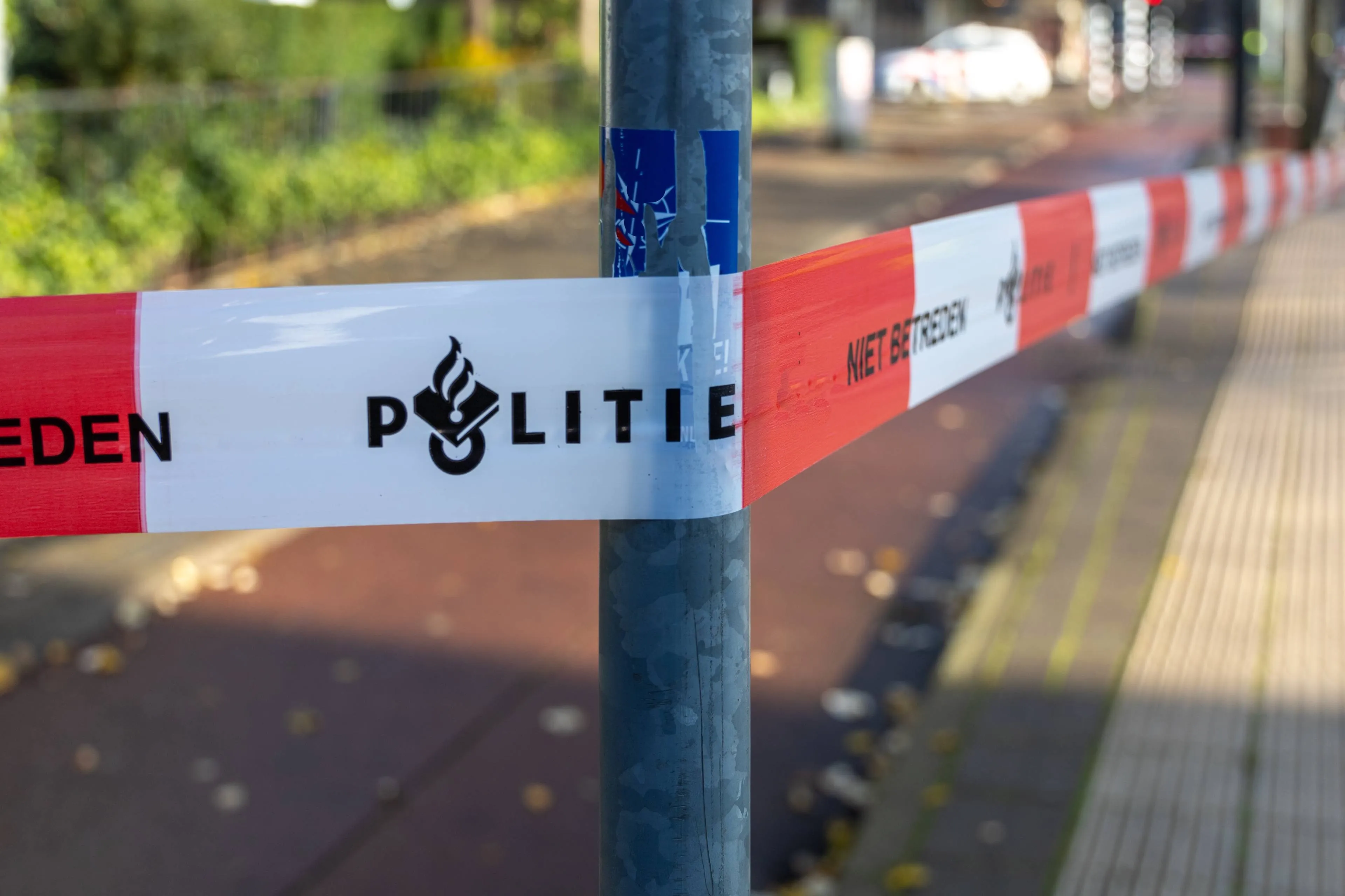 shutterstock_2389526987