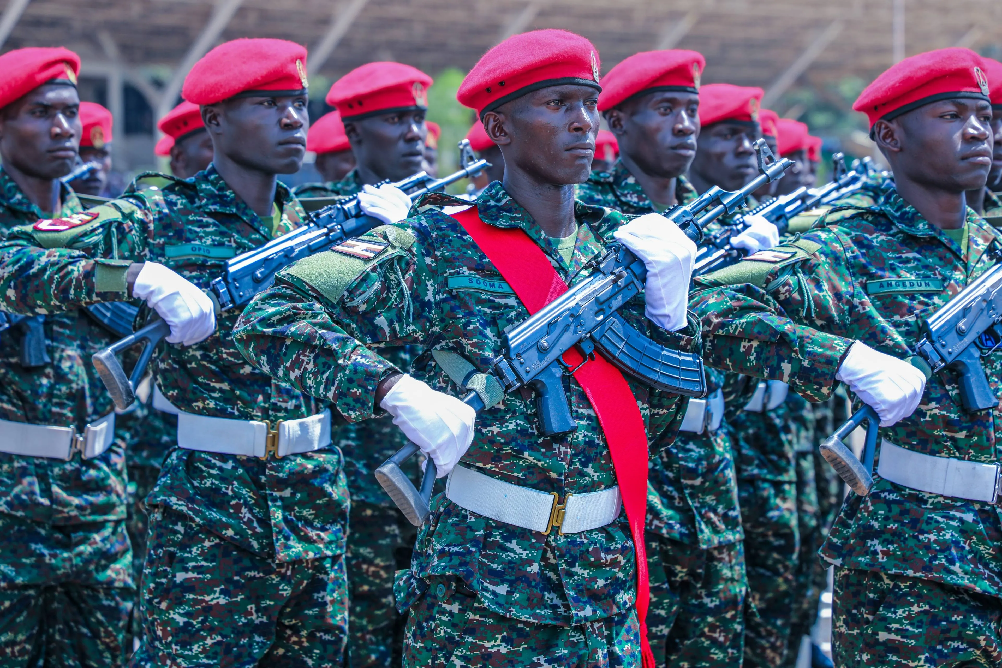 shutterstock_2689965075