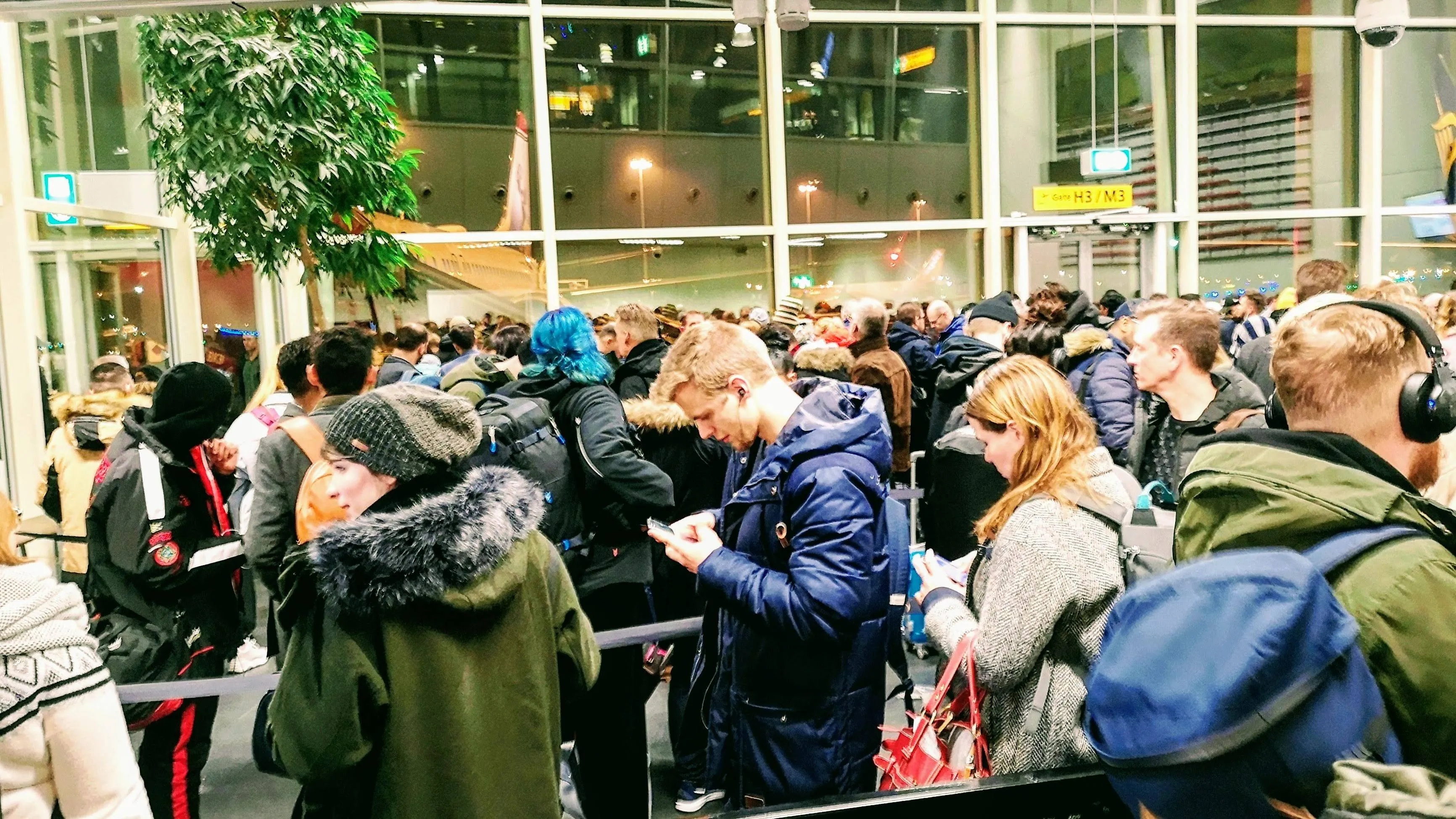 shutterstock_1319353652