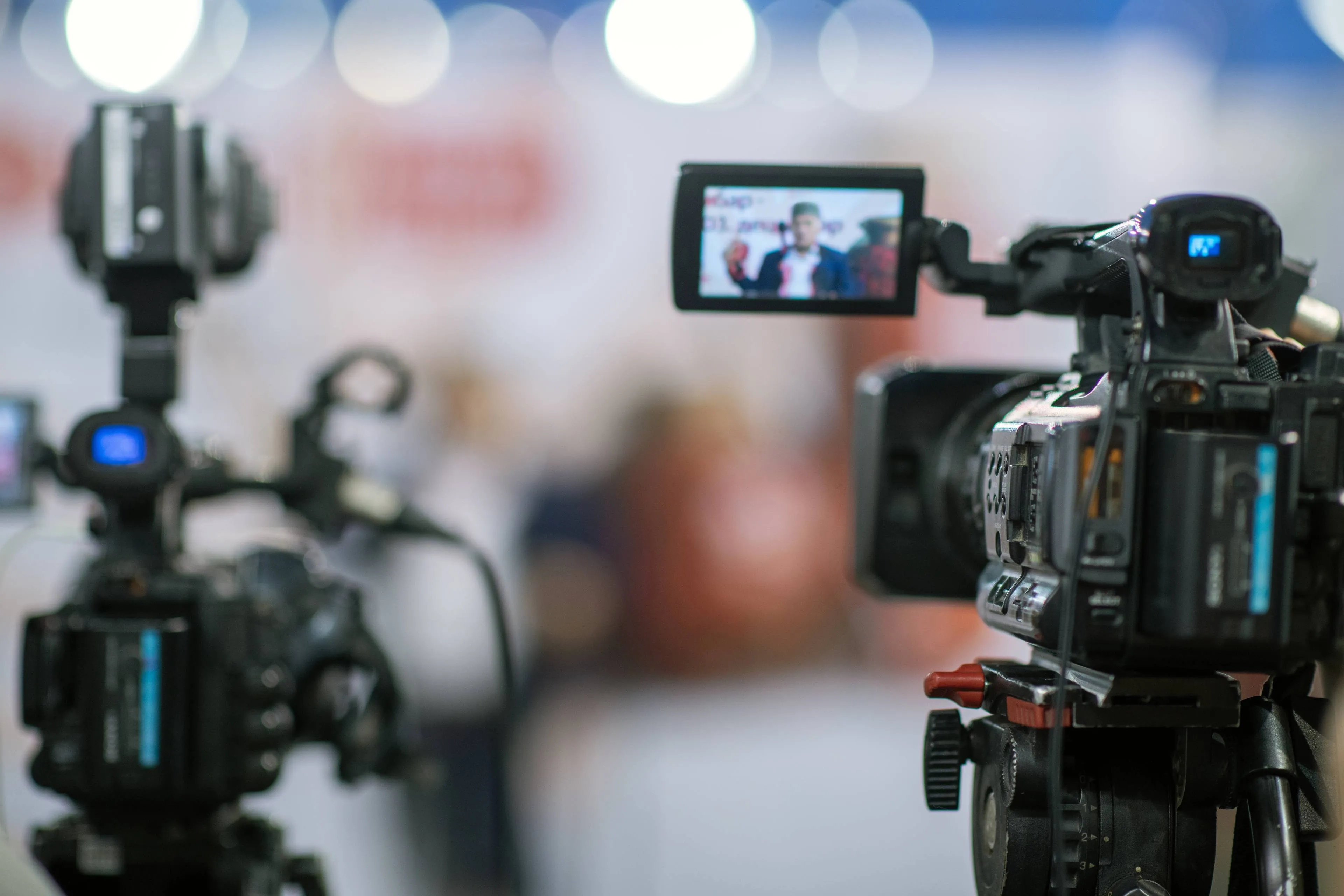 shutterstock_2451361239