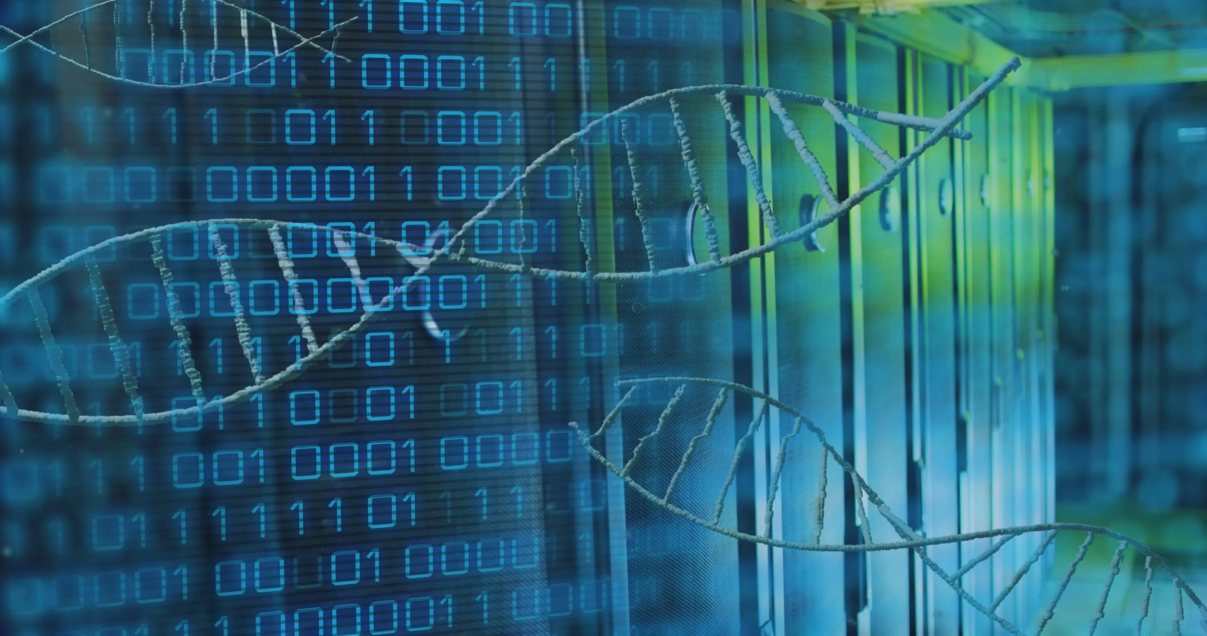 shutterstock_2527839667